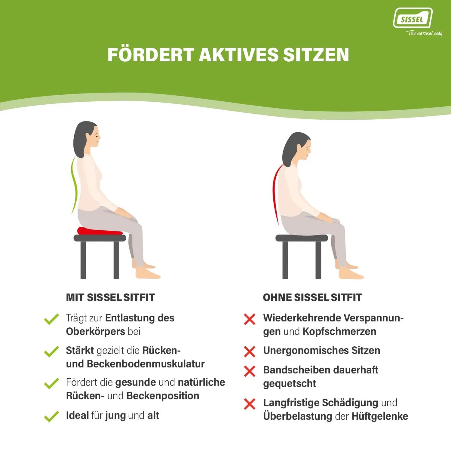 SISSEL tasakaalulaud Sit Fit Plus – mugav koduseks treeninguks – pakend ja tarvikud