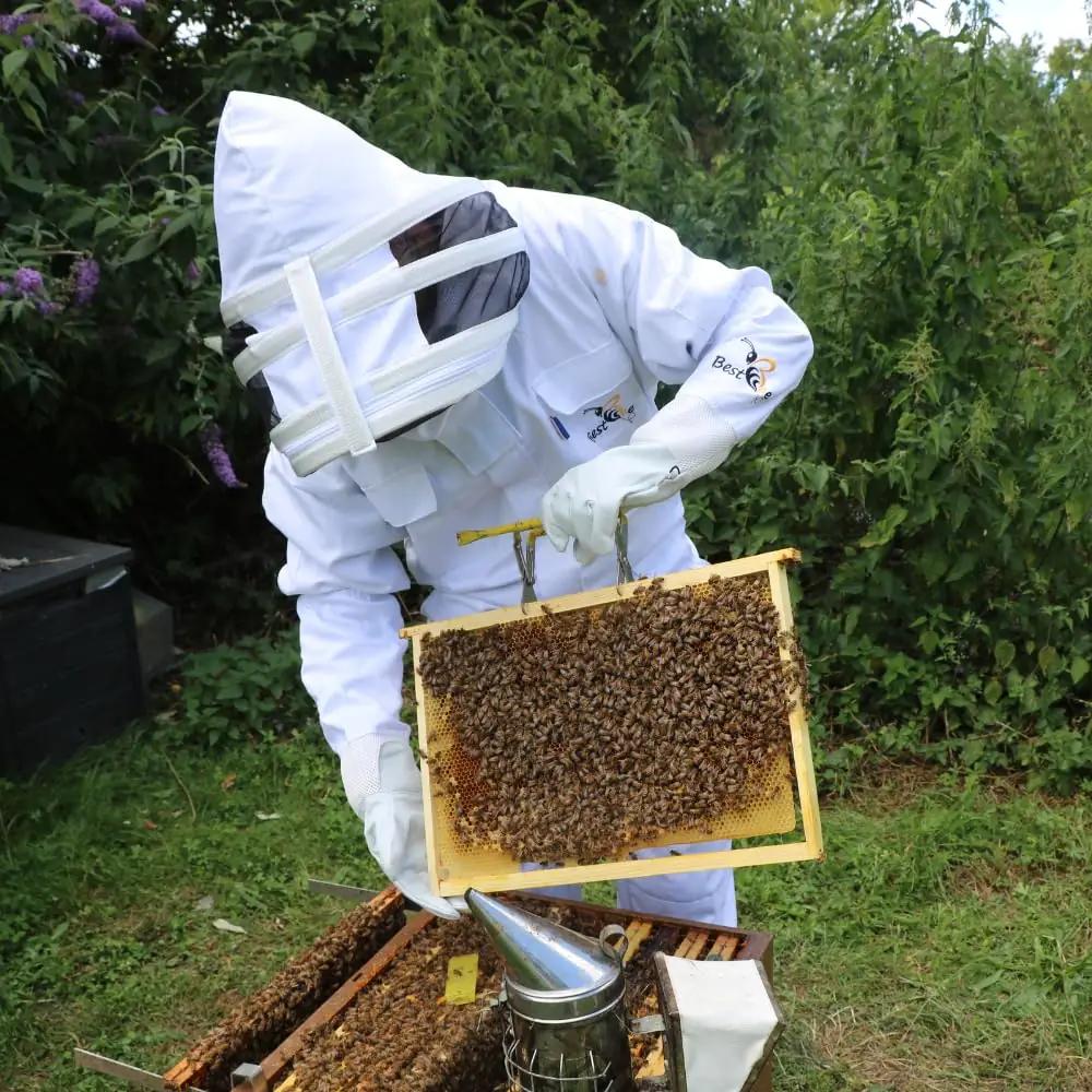 Best Bee kaitseriietus – detailne lähivaade