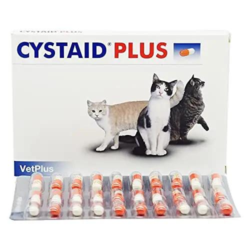 Cystaid loomadele: probiootiline toetav kapsel terviseks – pakend ja tarvikud
