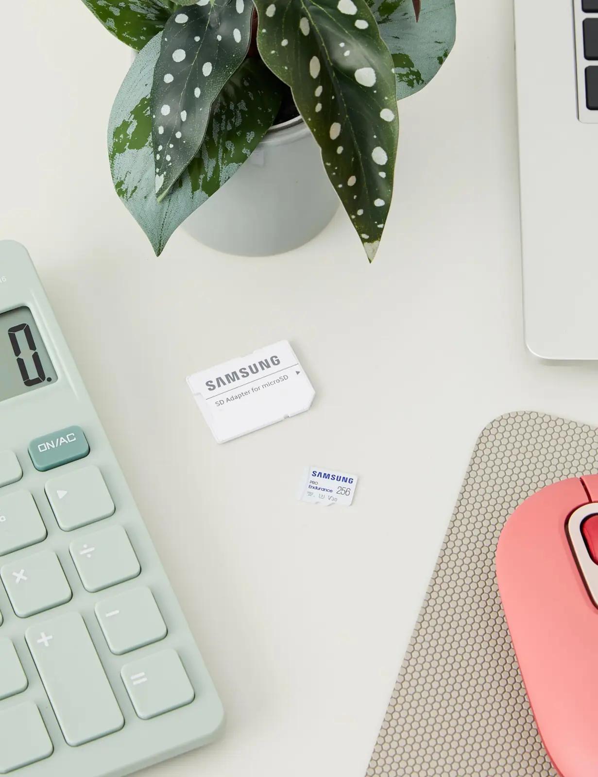 Samsung vastupidav 256 GB microSD-kaart koos SD-adapteriga – detailne vaade