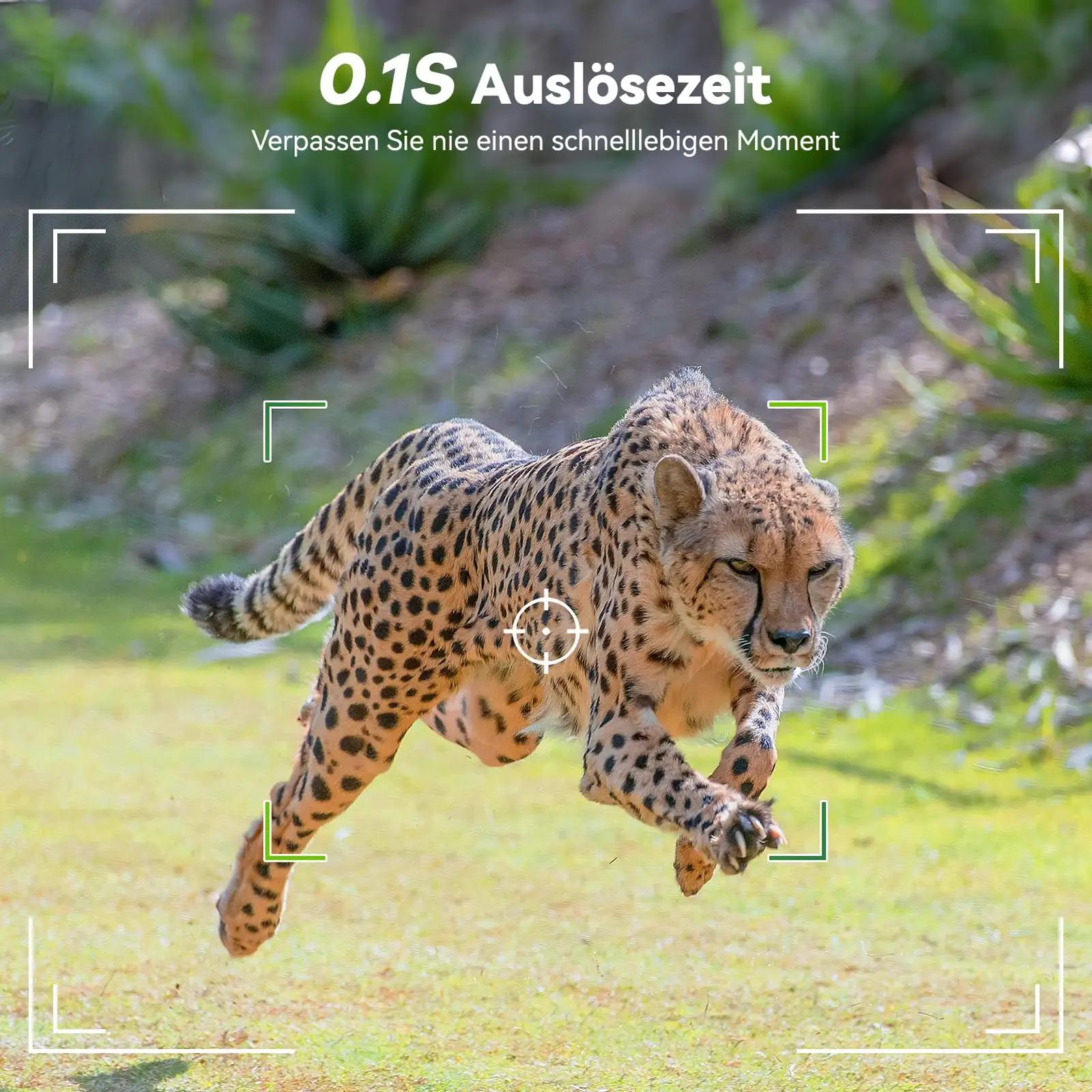 DEATTI vastupidav metsakaamera 4K 48MP koos WIFI-ga – lisavaade