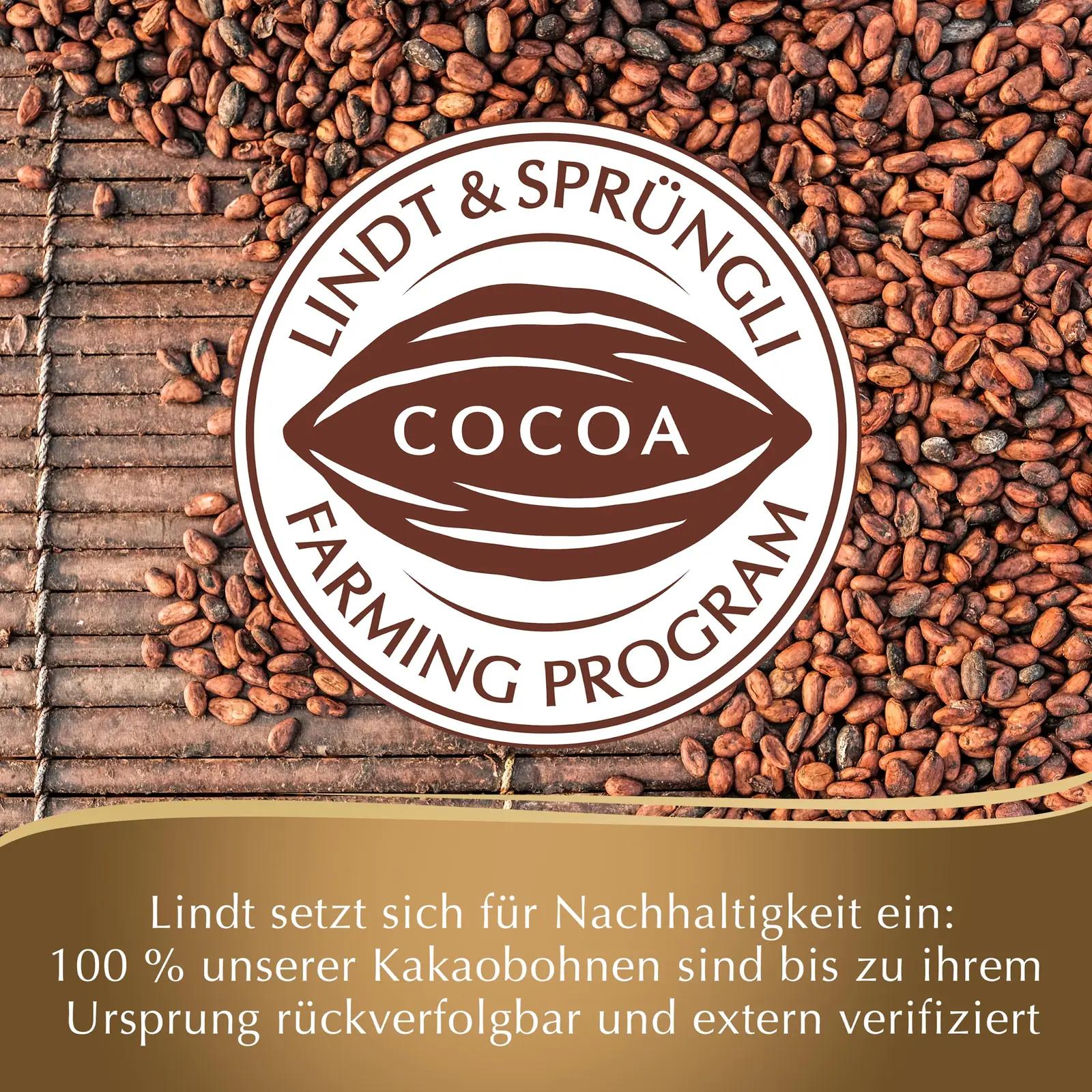 Lindt šokolaadikarp — elegantne praliinigift 12×100 g – pilt 7