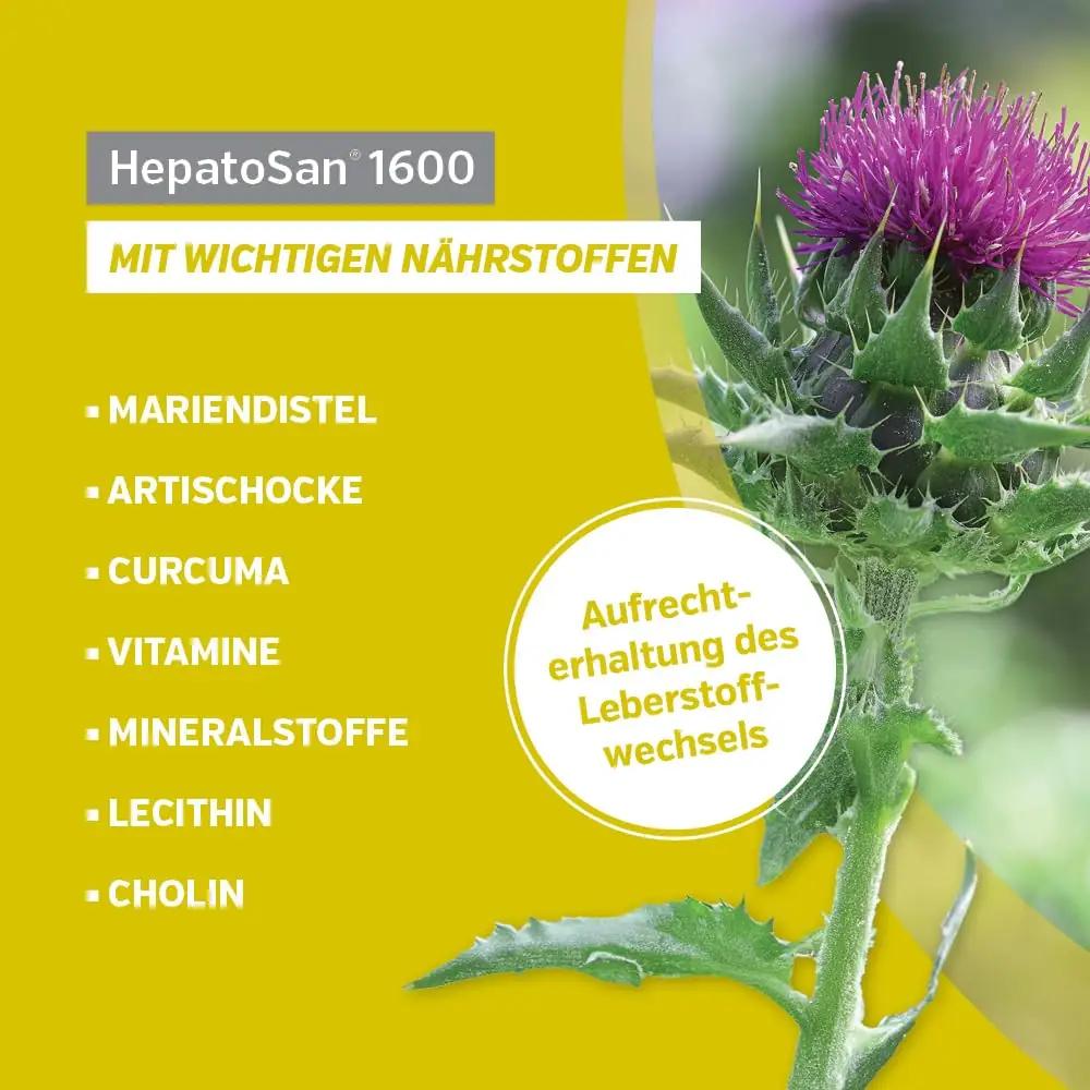 Alfavet toetav maksatoode koertele – 120 tabletti 1600 mg – pakend ja tarvikud