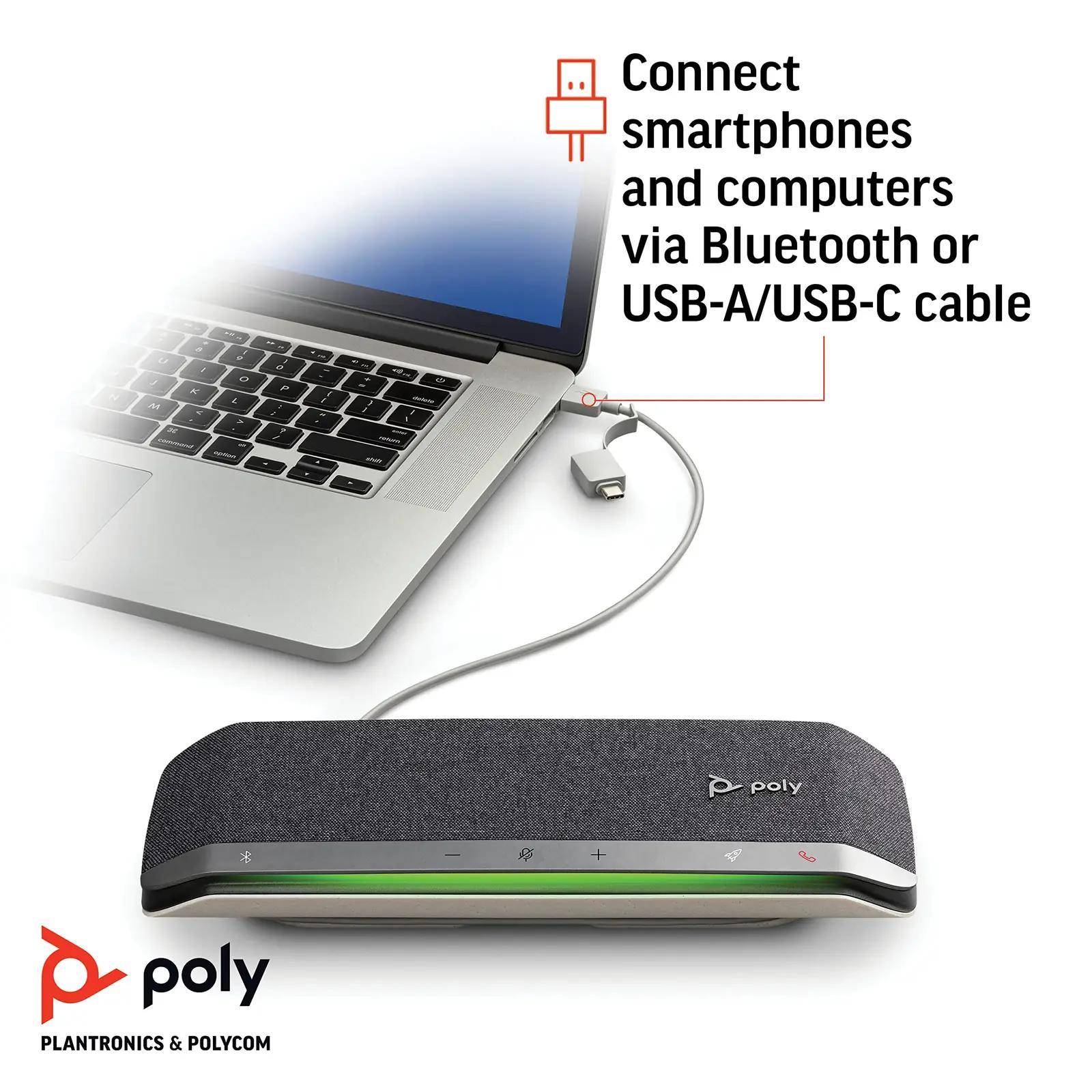 POLY 216874-01 kõlar – detailne lähivaade