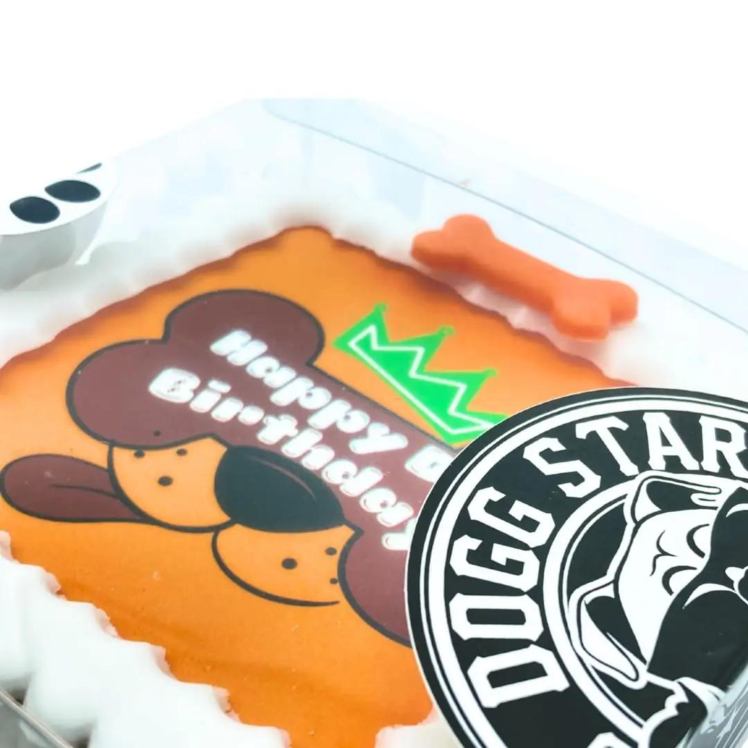 Dogg Star looduslik koogikesi – maius igale koerale – kasutusnäide