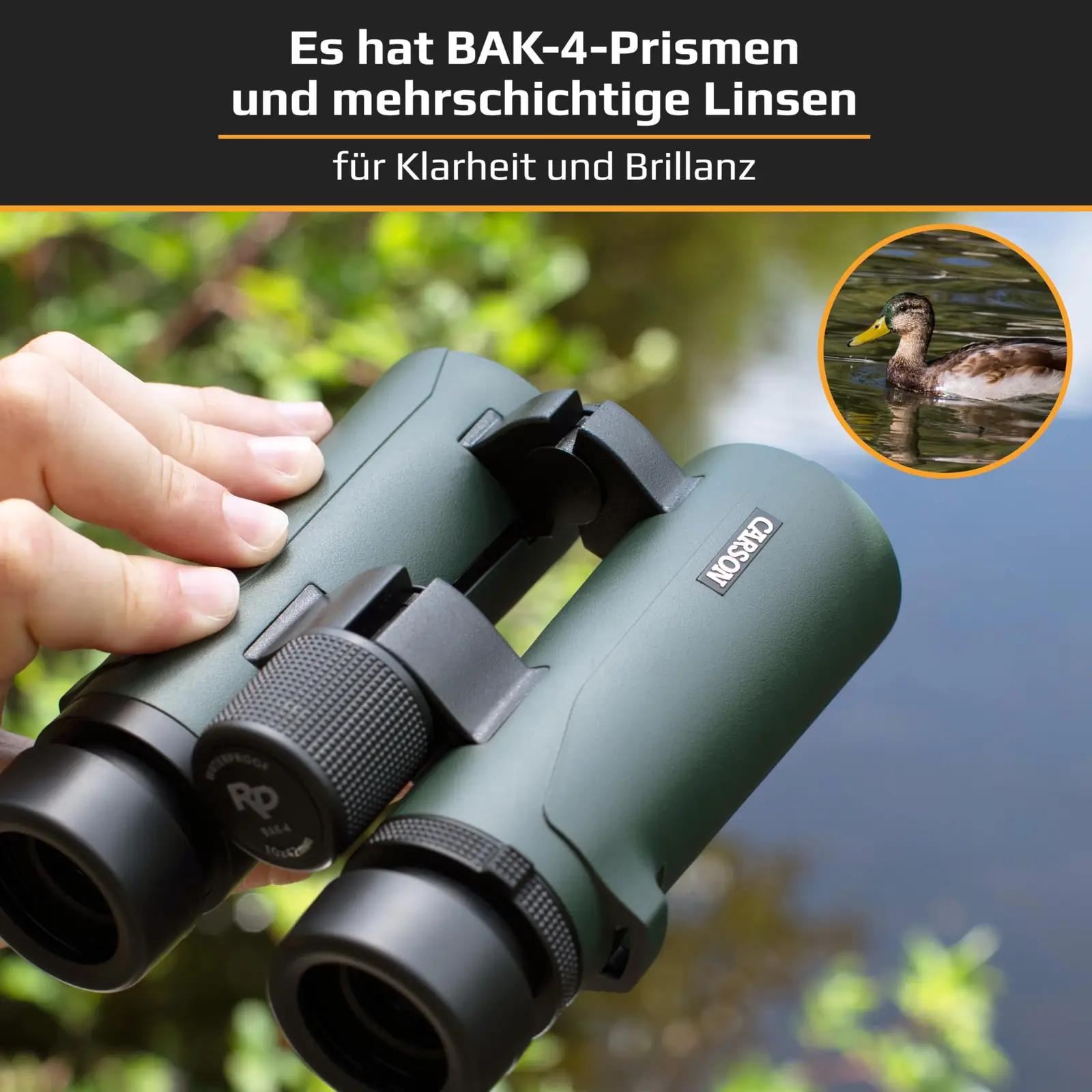 CARSON vastupidav 10×42 binokkel – selge vaade looduses – kasutusnäide