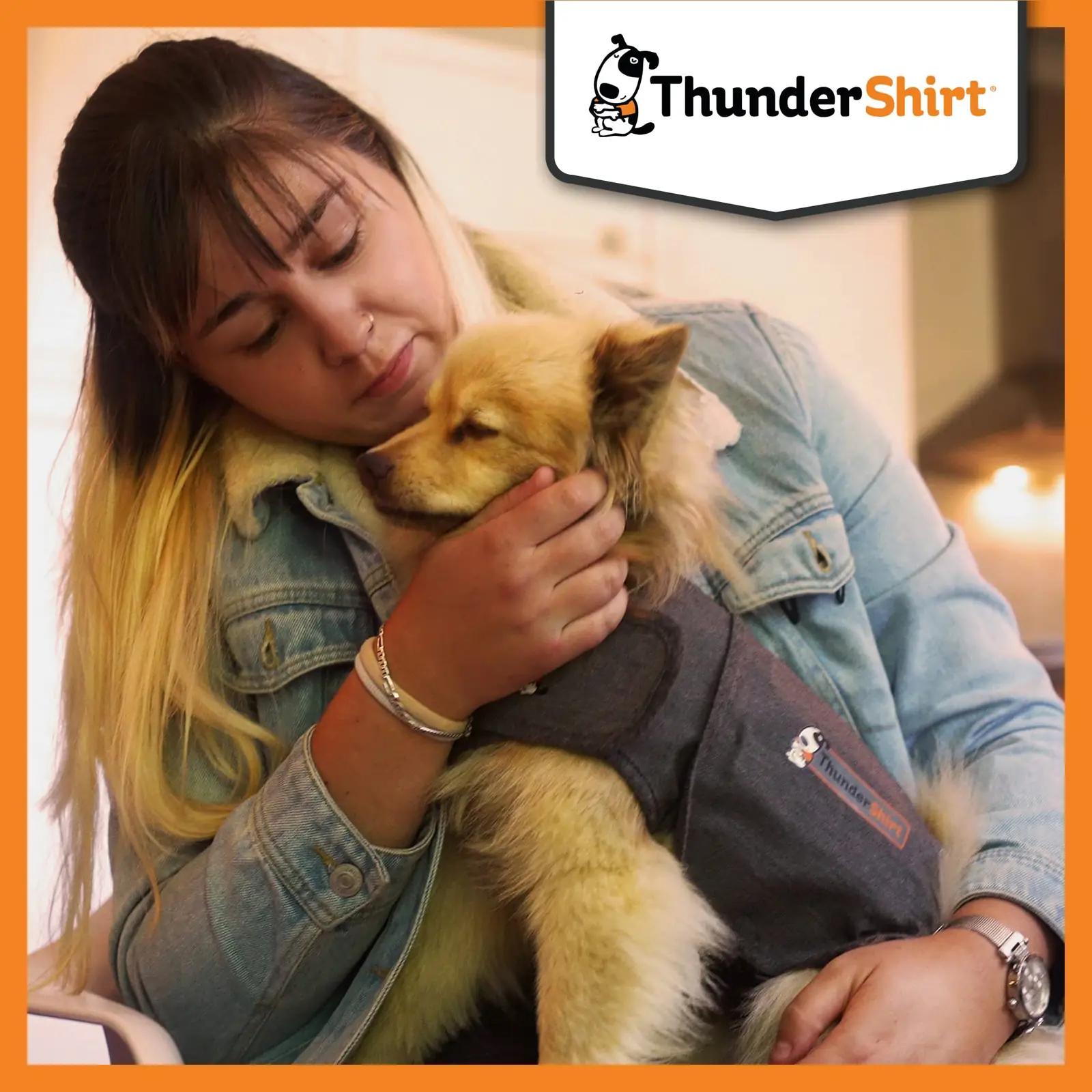 Thundershirt rahustav koeravest L – mugav ja vastupidav hall – pilt 6