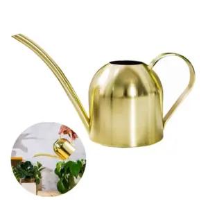 Hggzeg BXGSH-003 aed – toote esivaade