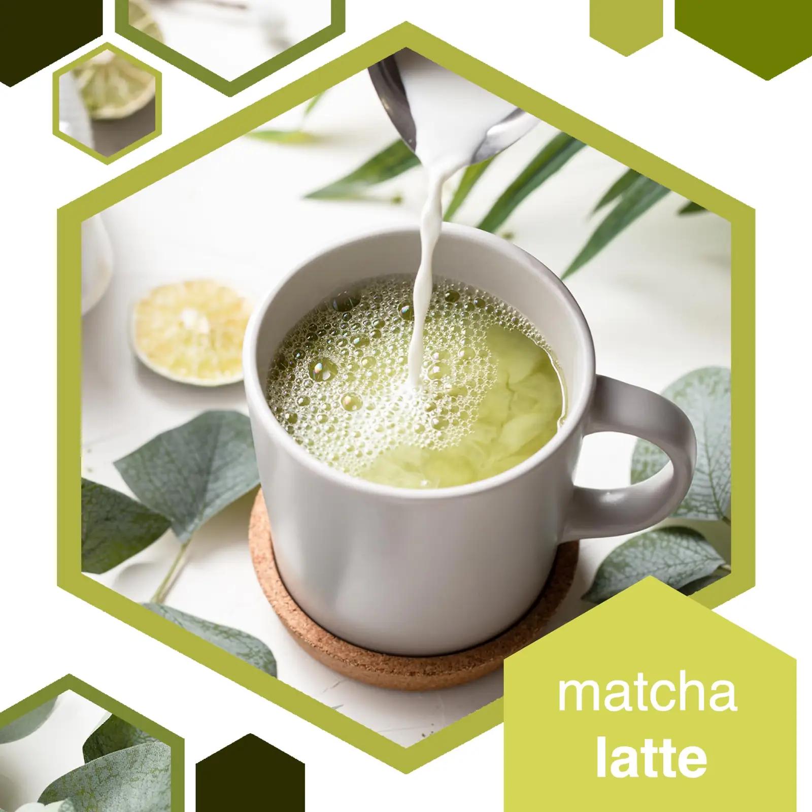 Erbotech mahe Matcha pulber 1 kg – premium kokkamise ja joogiks – pakend ja tarvikud