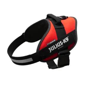 JULIUS K-9 16IDC-R-2-AMZ valjad – toote esivaade