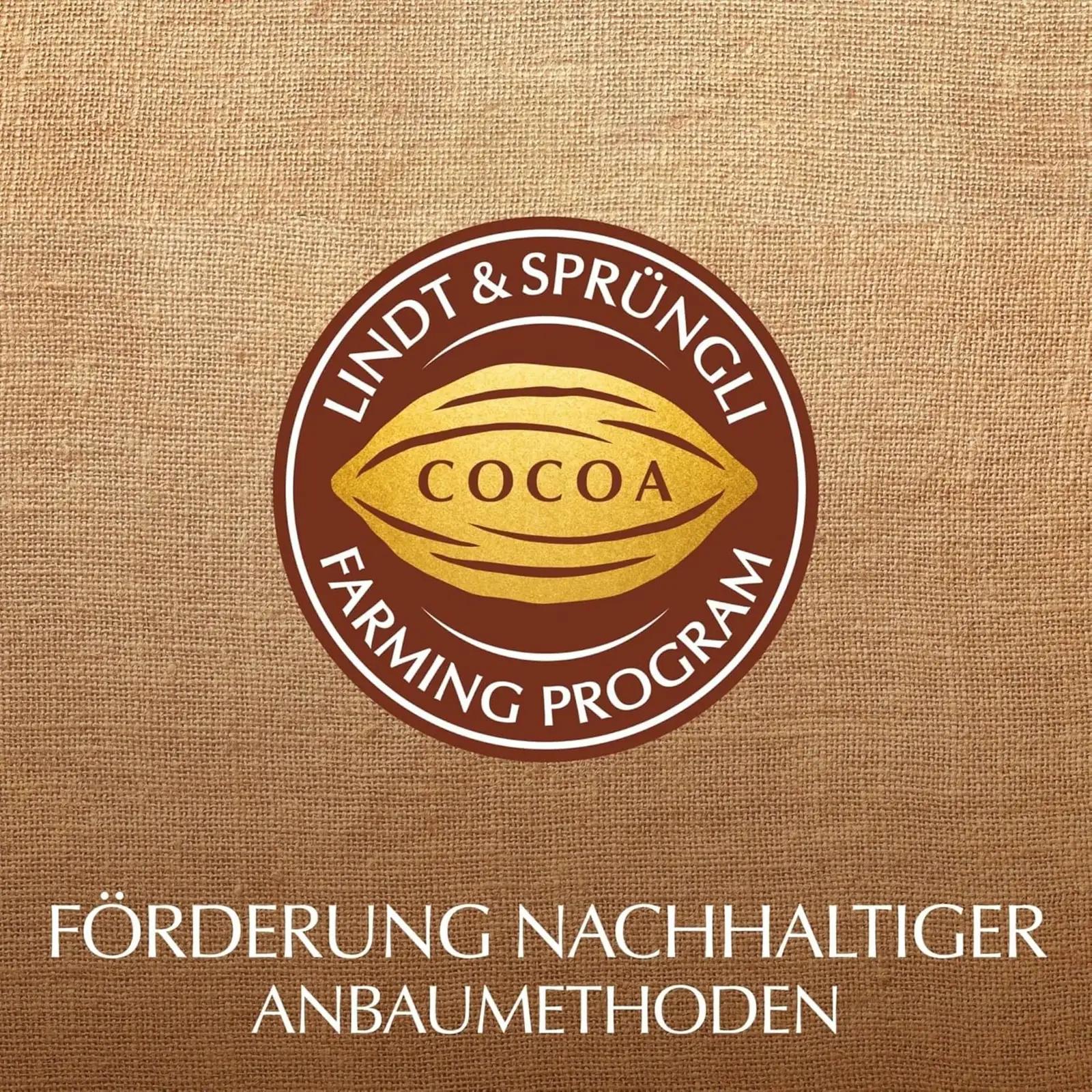 Lindt šokolaadipakk 815 g – värvikas kinkekomplekt – lisavaade
