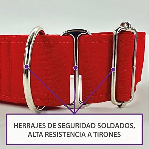 Galguita Amelie 0641094590390 lemmikloomad – detailne lähivaade
