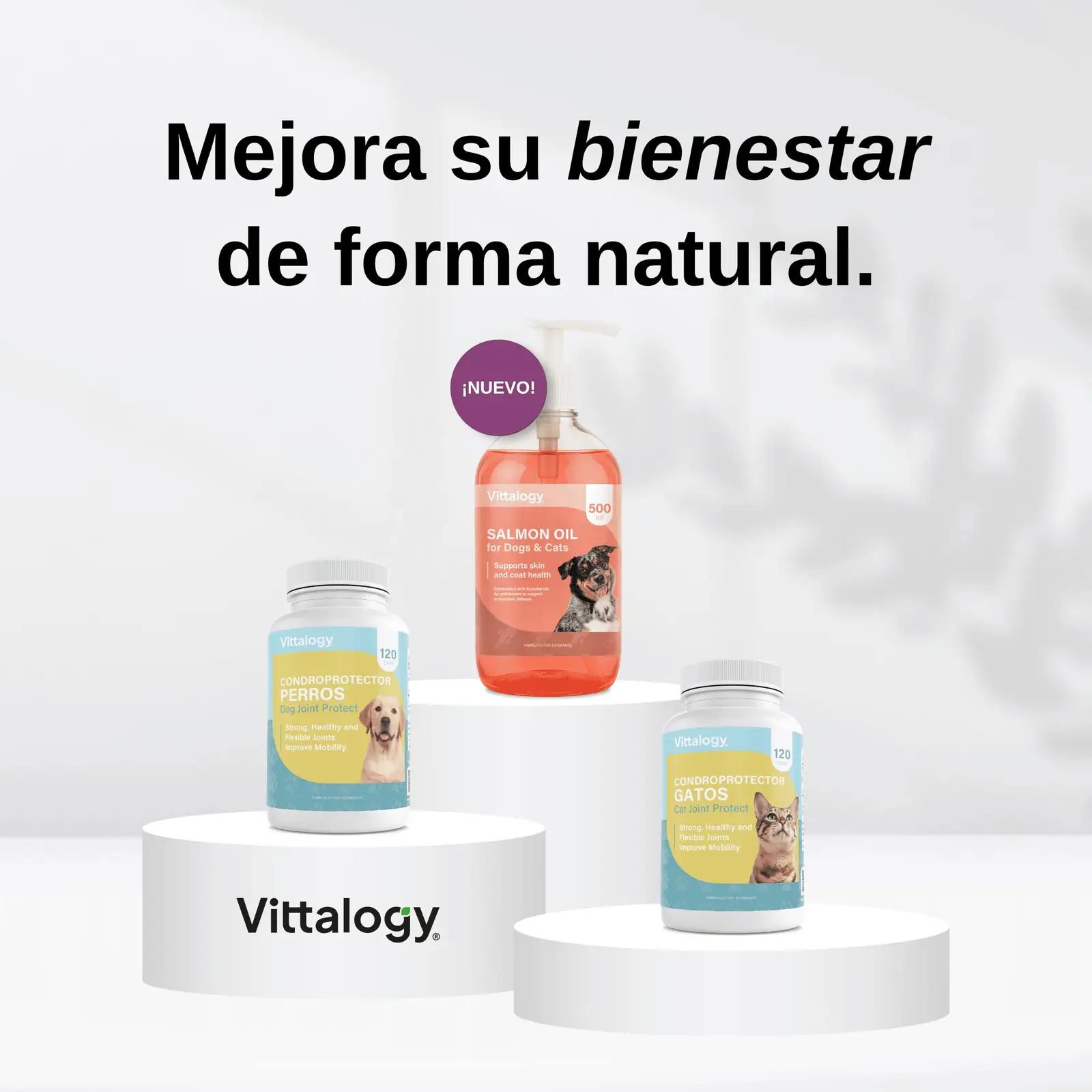 VITTALOGY looduslik liigeste toidulisand kassidele — 120 kapslit – pilt 9