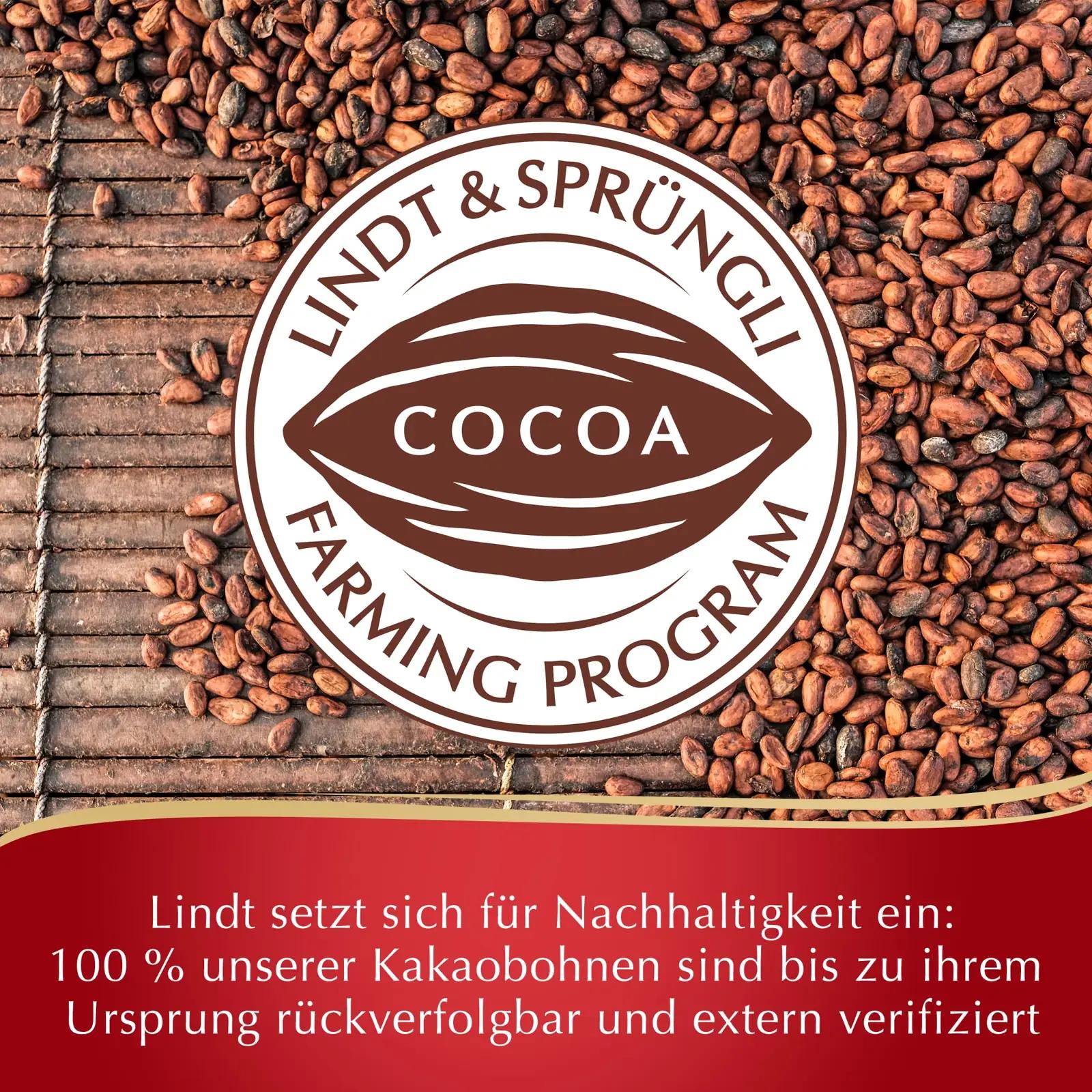 Lindt suurepärane šokolaadikink 1718 g – ideaalne jagamiseks – pilt 7