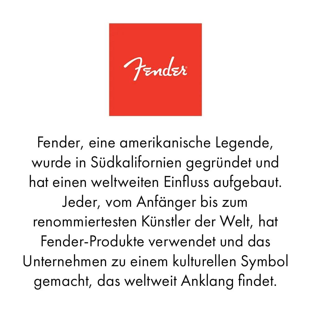 Fender metallist mundharmonika-set – puidude ja puhkpillid – pilt 6