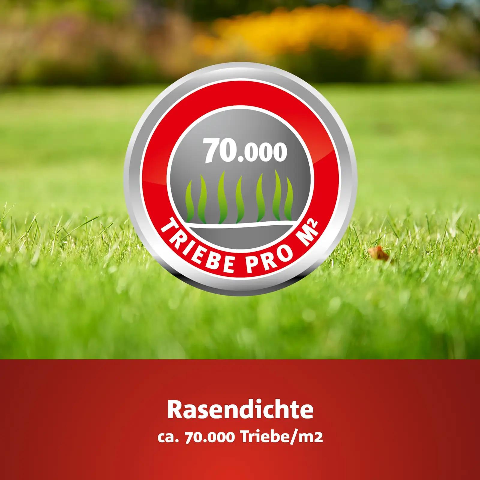 WOLF Garten tihe muruseeme 100 m² — kiire taastumine – pakend ja tarvikud