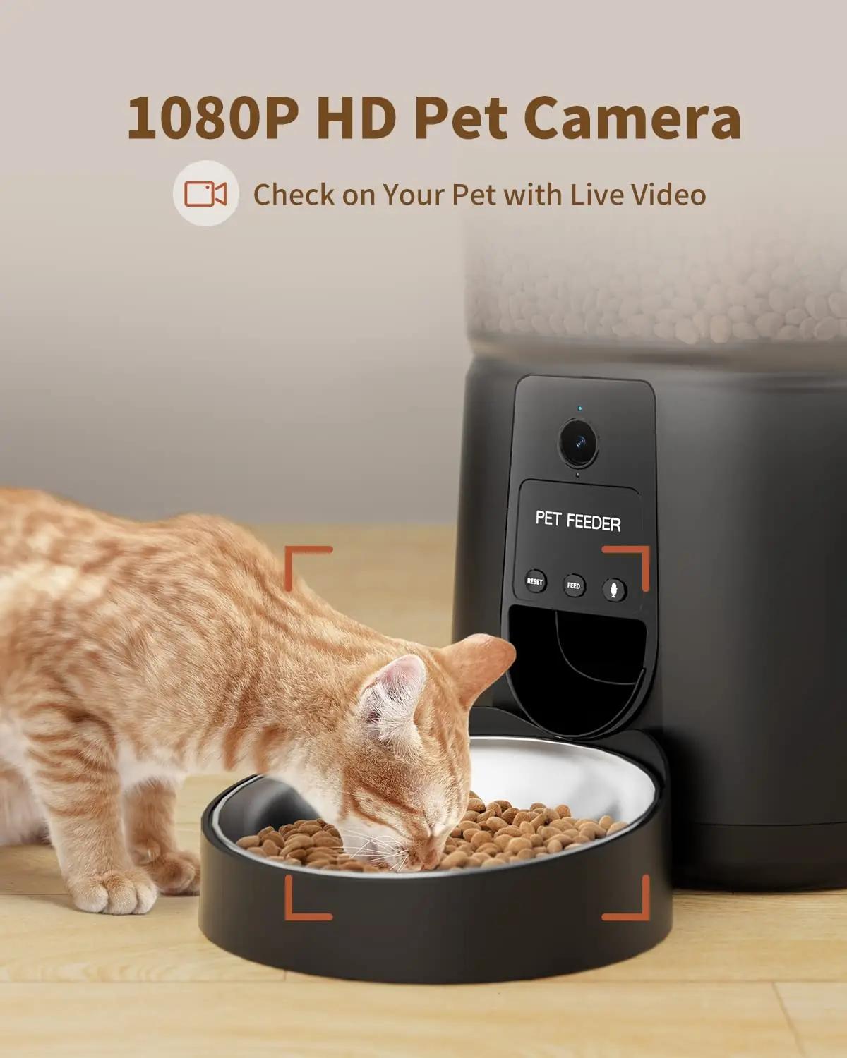 PUPPY KITTY Moni lemmikloomad – detailne lähivaade