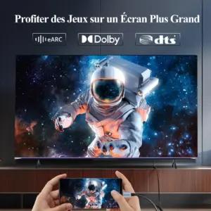 AGFINEST Câble USB C vers Displayport 2.1 kaablid – detailne lähivaade