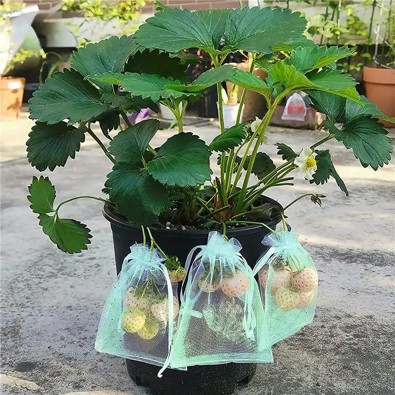 YOUNLEN korduvkasutatav viinamarjakott 20x15cm, 100 tk – lisavaade