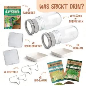 zengreens idandamispotid – detailne lähivaade