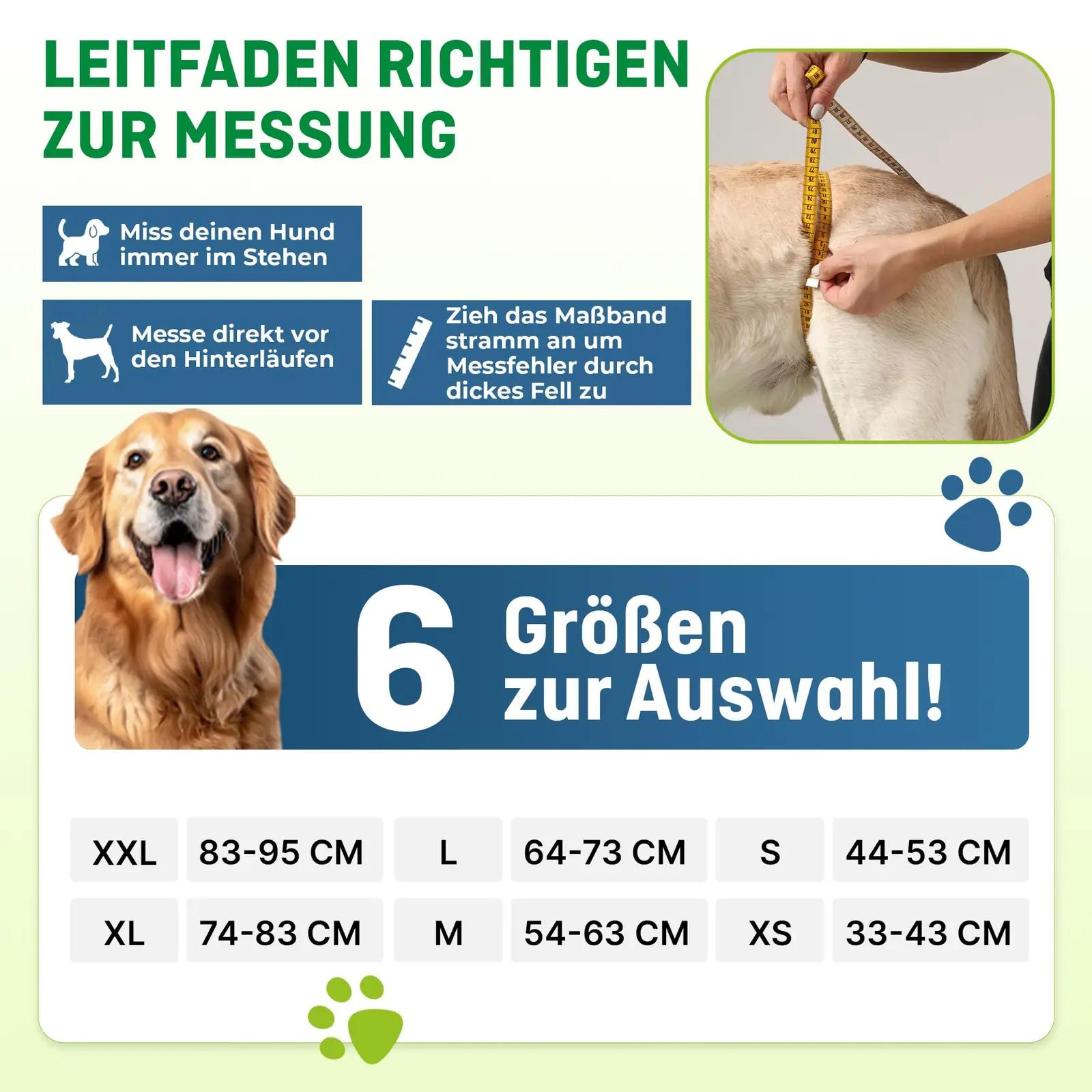 Nature Pet toestav koerarihm – reguleeritav trepiabi (S) – lisavaade