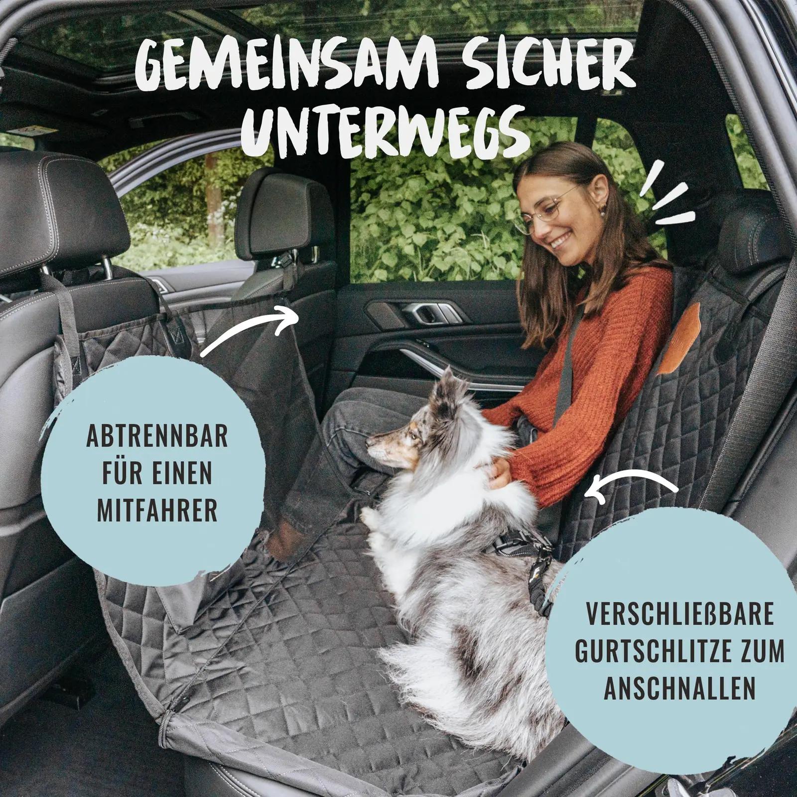 Rudelkönig veekindel autohooldus koertele — vastupidav E3 – pilt 6