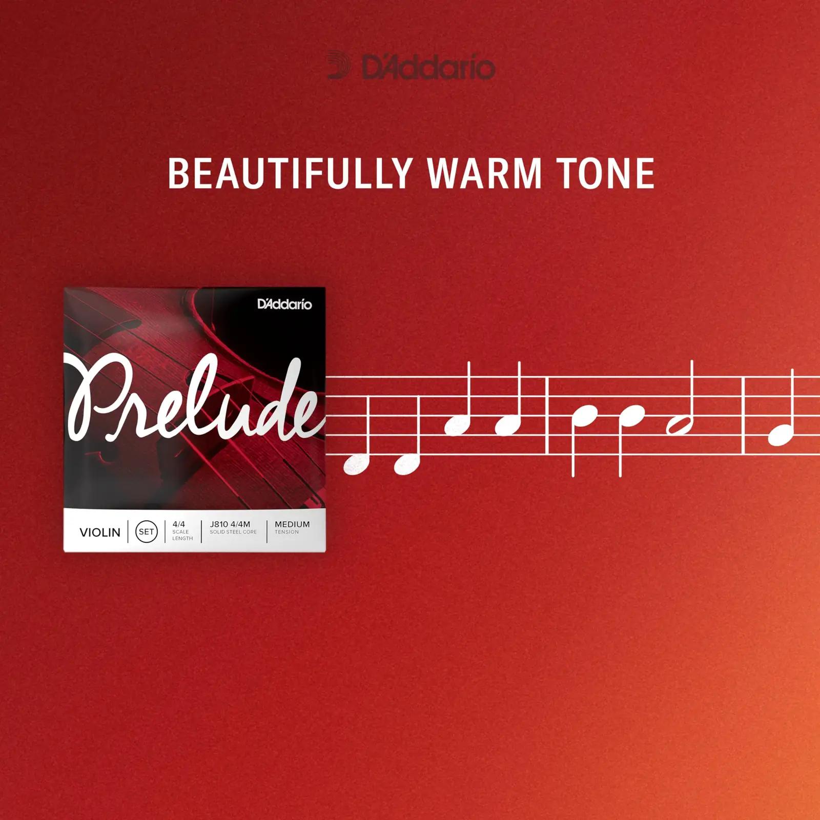 D’Addario cello keelpillikeeled – Prelude 4/4M tugev – lisavaade