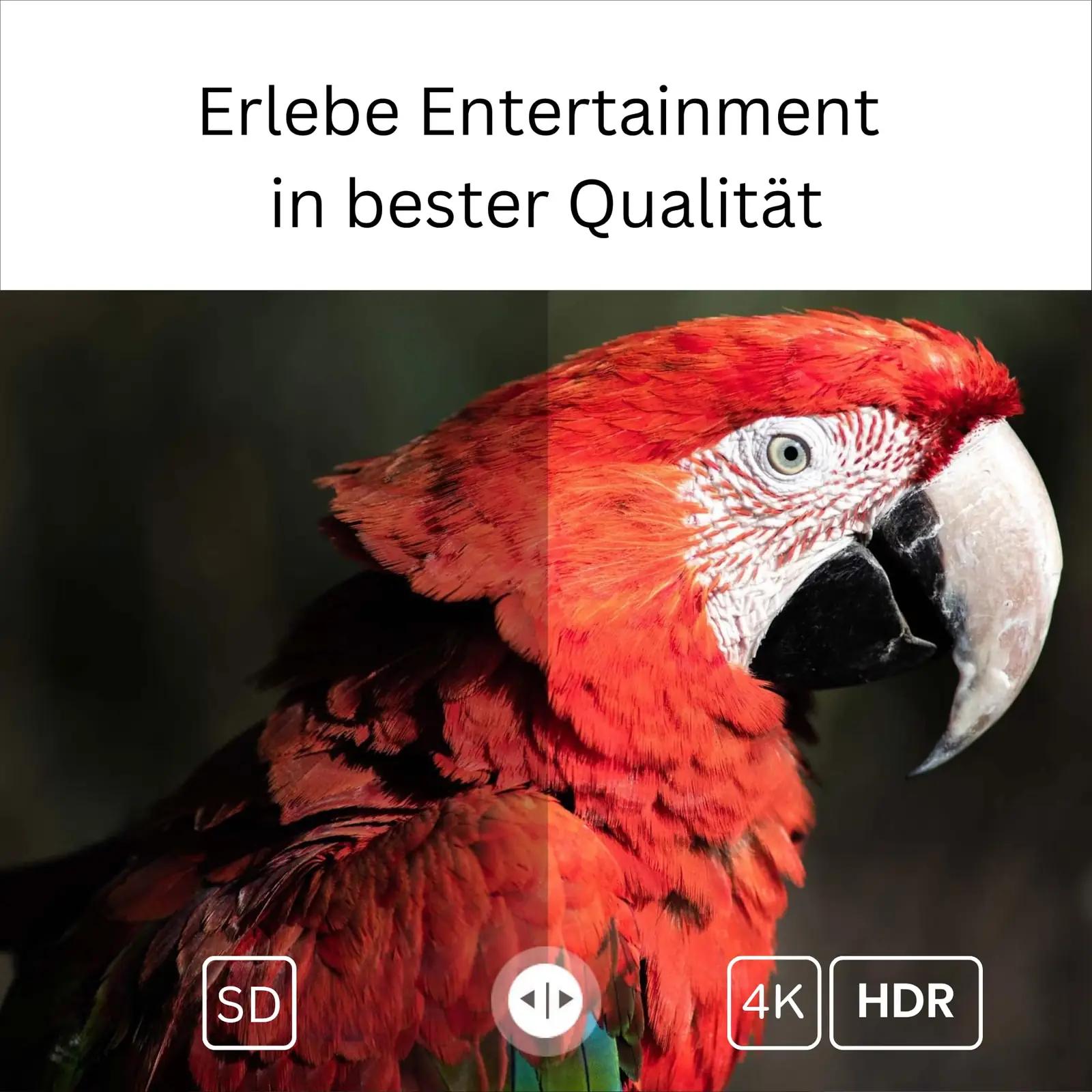 Orbsmart 4K HDR streaming-stick — nutikas TV-lahendus kingiks – lisavaade