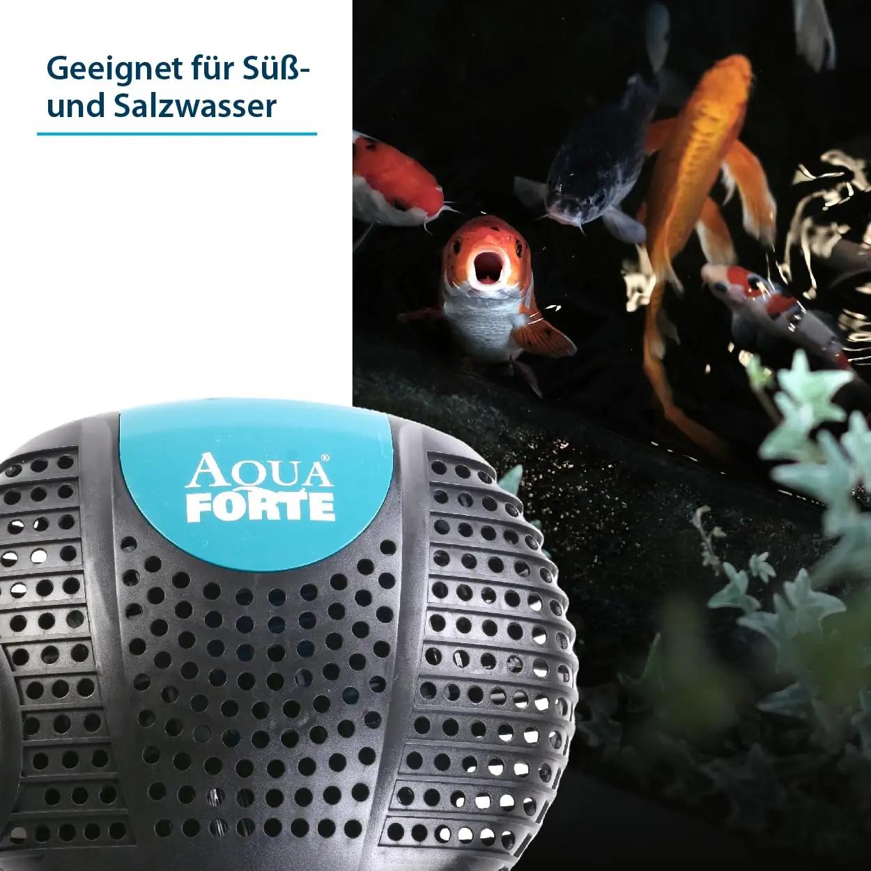 AquaForte vastupidav plastikpump – filtripumbad – pakend ja tarvikud