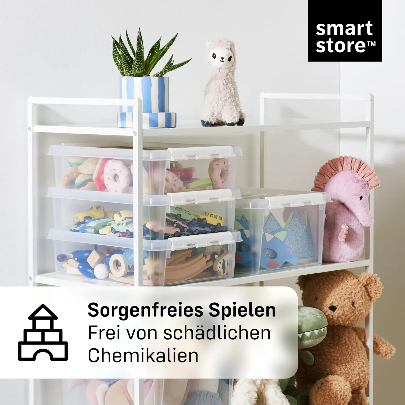 SmartStore läbipaistev hoiukast kaanega – kompaktne 2L komplekt – lisavaade