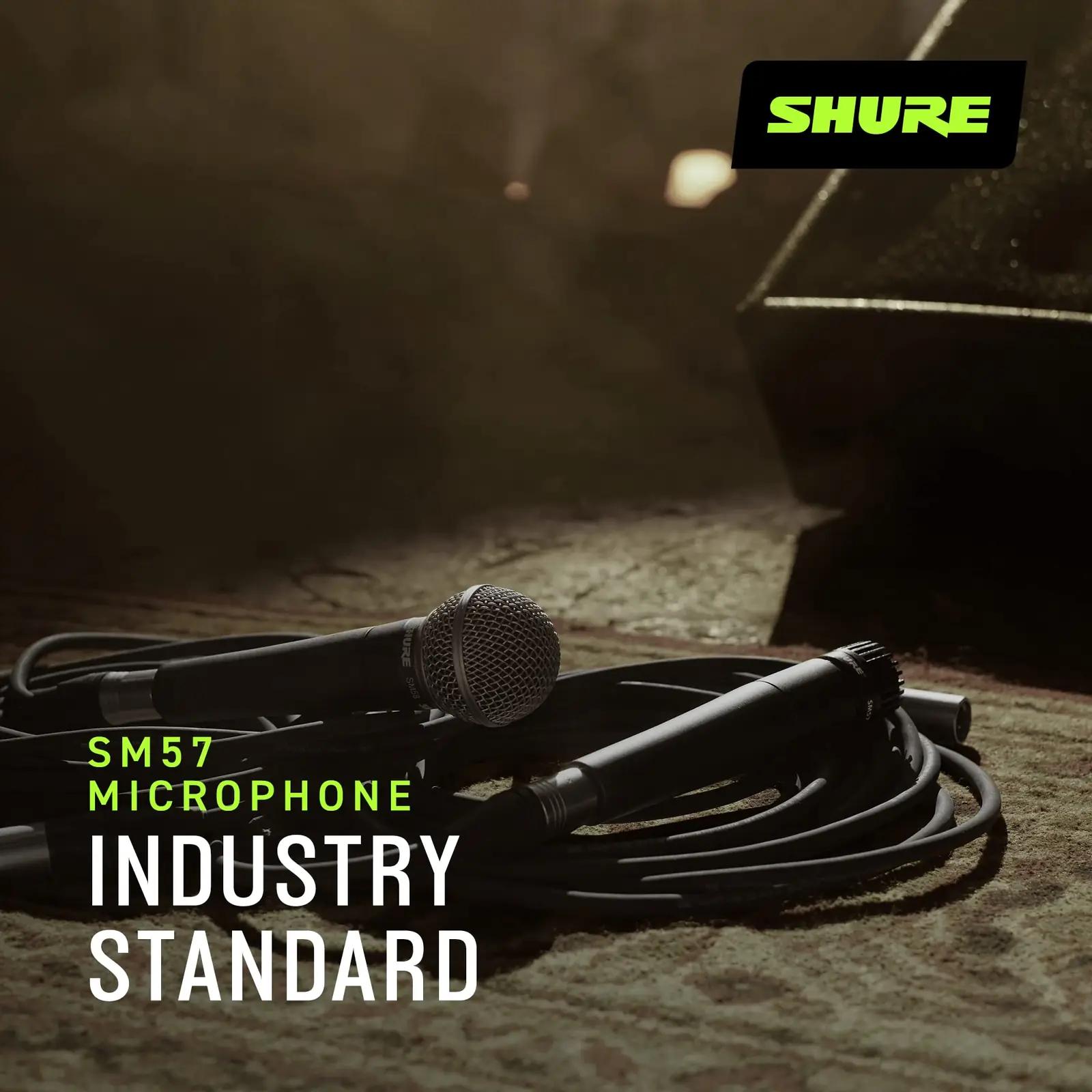 Shure vastupidav instrumentmikrofon kvaliteetse heli jaoks – lisavaade