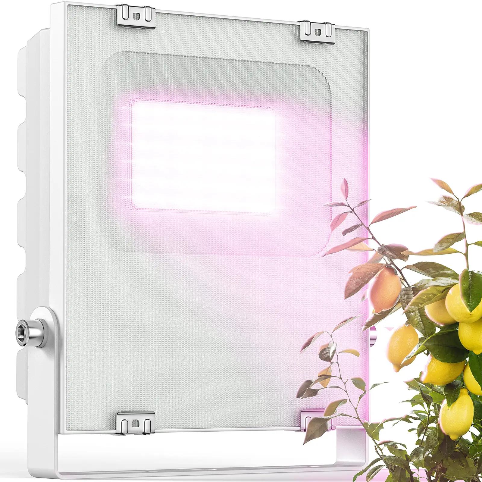 Meine Orangerie energiasäästlik LED-taimevalgusti talveks