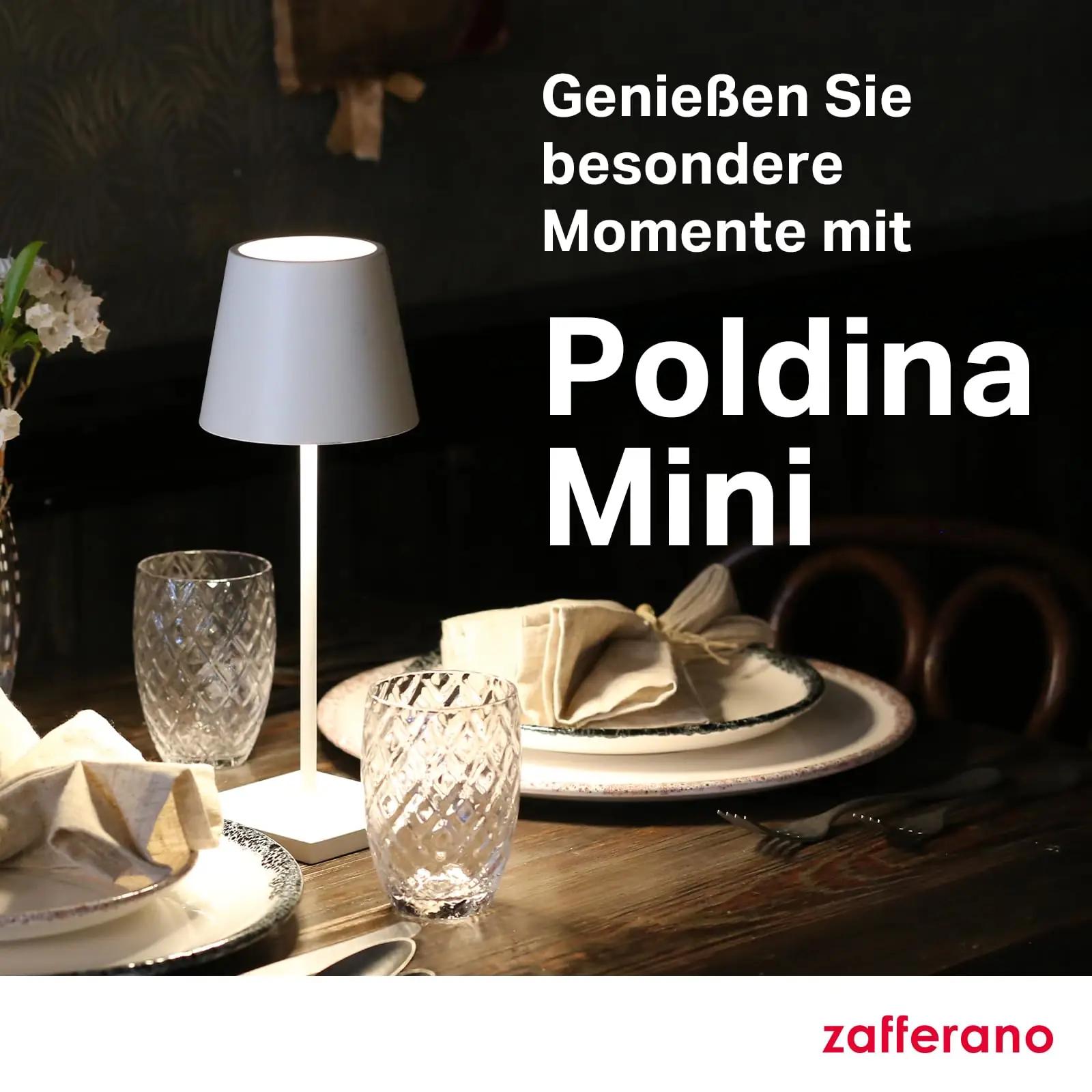 Zafferano valgusti Poldina Pro Mini — akkuga välikasutuseks – pilt 8