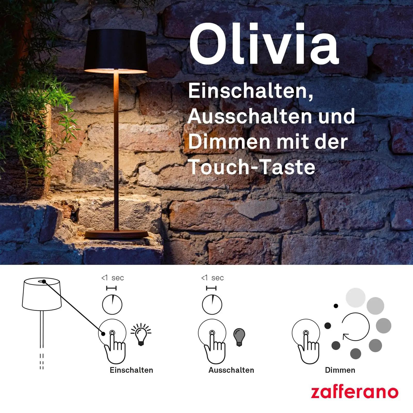 Zafferano Olivia Pro lauvalgusti – laaditav ja õuekasutatav – lisavaade