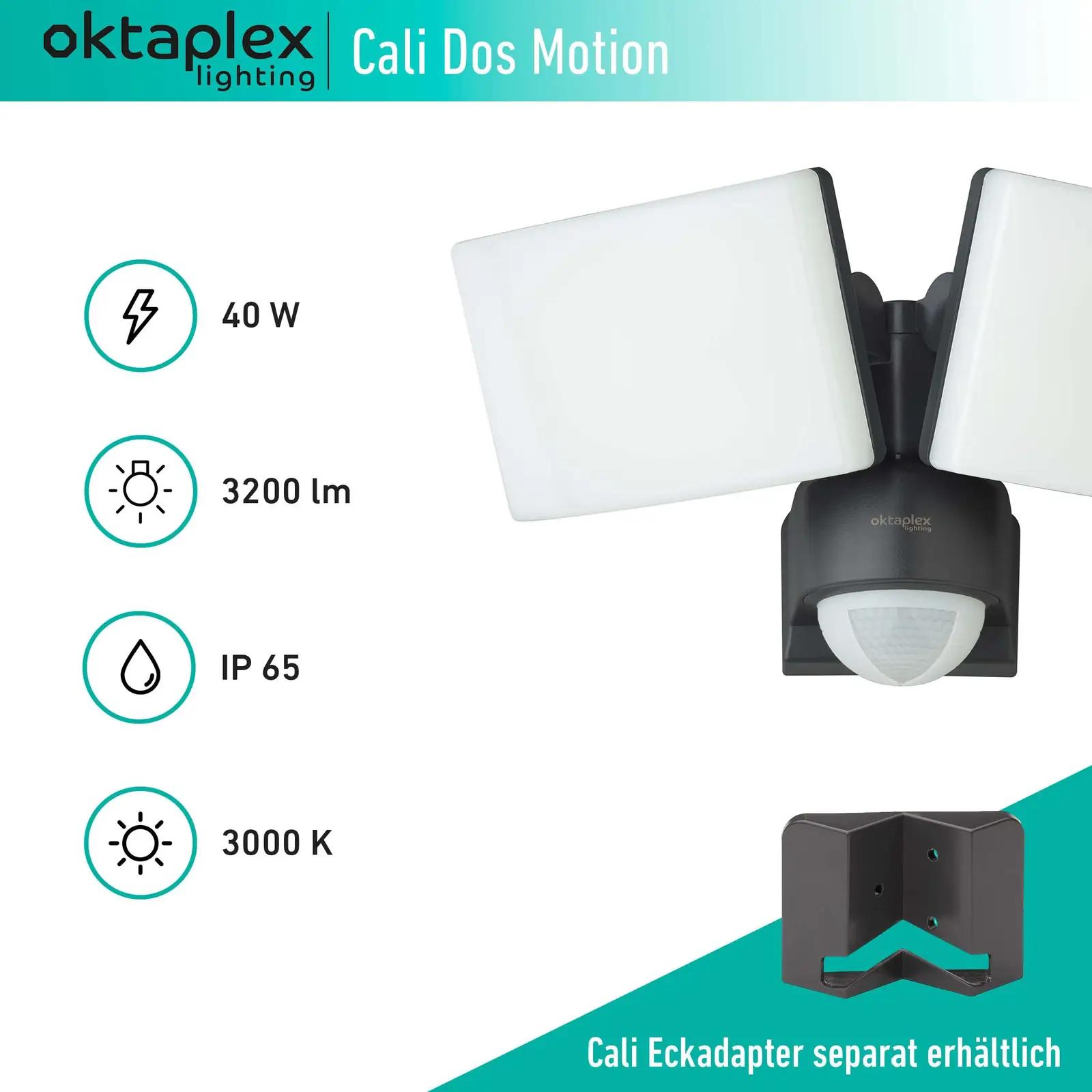 Oktaplex lighting välisvalgusti liikuvanduriga — vastupidav 40W – lisavaade