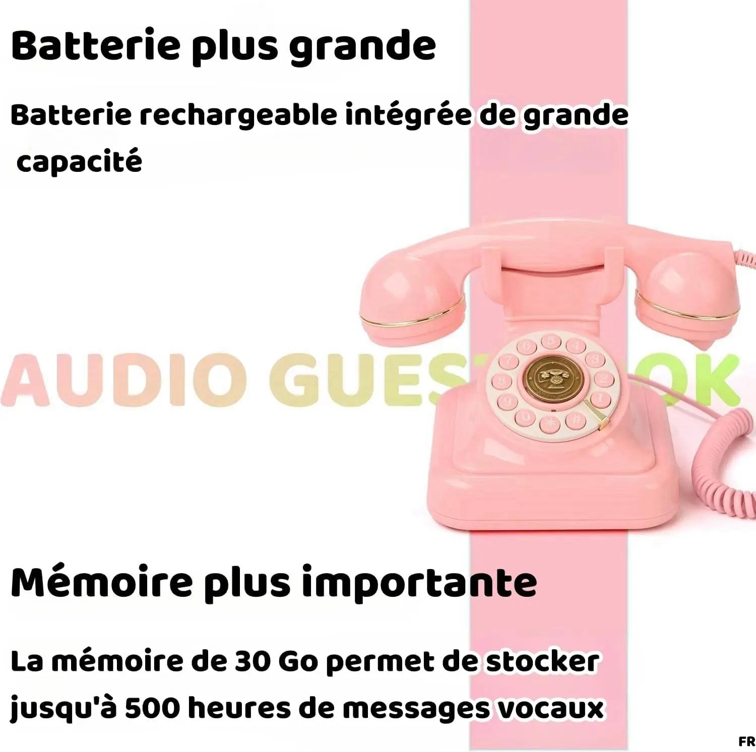 RetroVox sakura-roosa heliraamat – maalimine ja käsitöö – detailne vaade