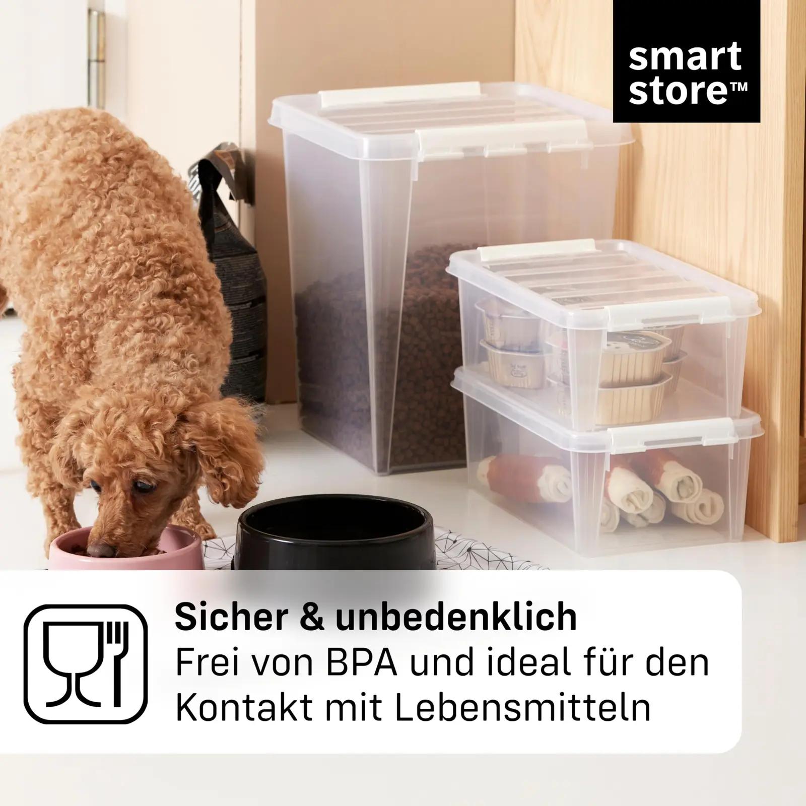 SmartStore läbipaistev hoiukast kaanega – kompaktne 2L komplekt – pilt 6