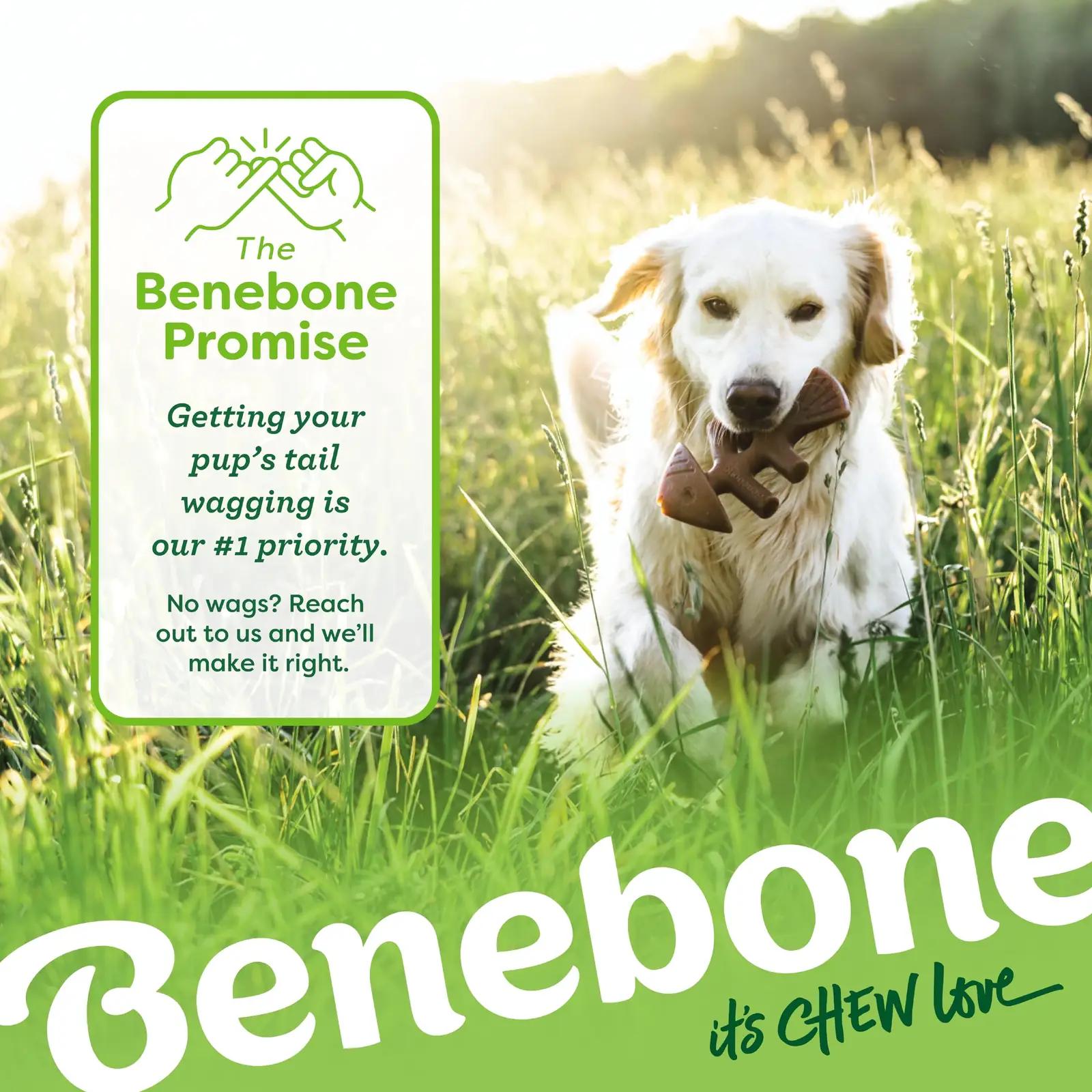 Benebone vastupidav närimiskomplekt keskmistele koertele – pilt 6