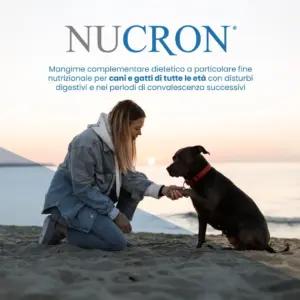 Aurora biofarma Nucron 30 Compresse seedimise abi – detailne lähivaade