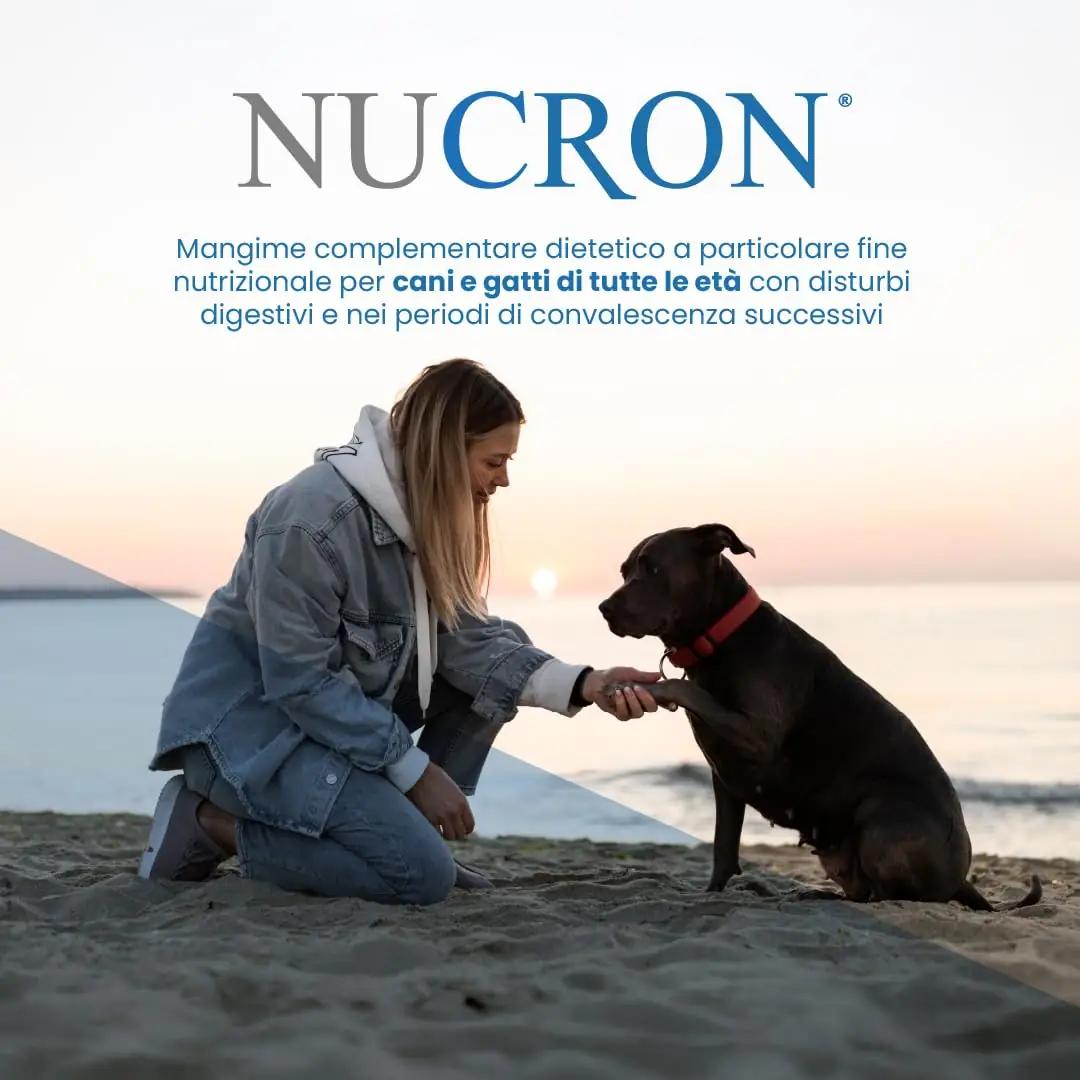 Aurora biofarma Nucron 30 Compresse seedimise abi – detailne lähivaade