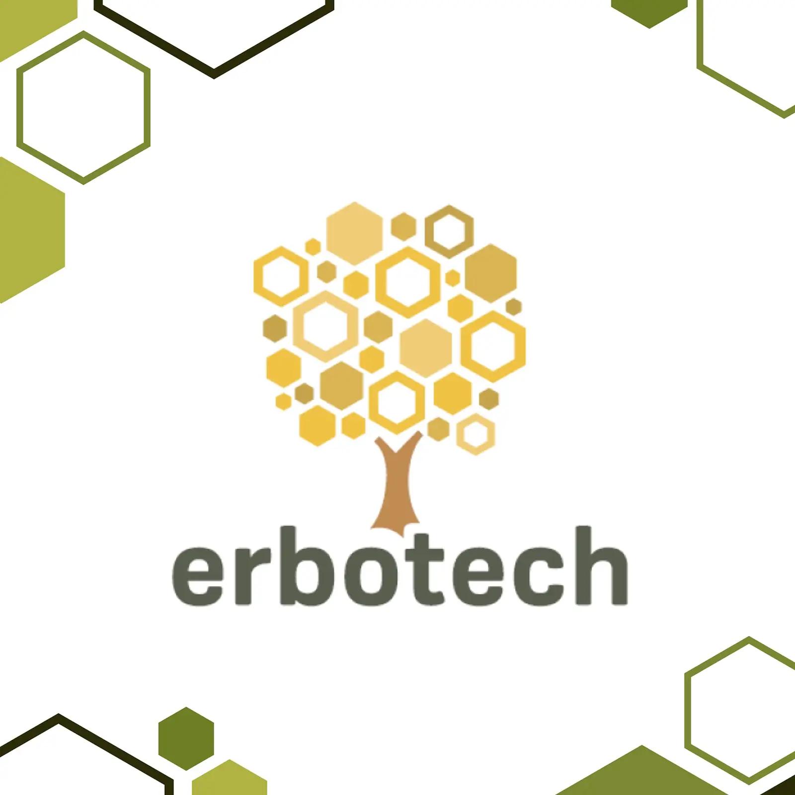 Erbotech mahe Matcha pulber 1 kg – premium kokkamise ja joogiks – pilt 9