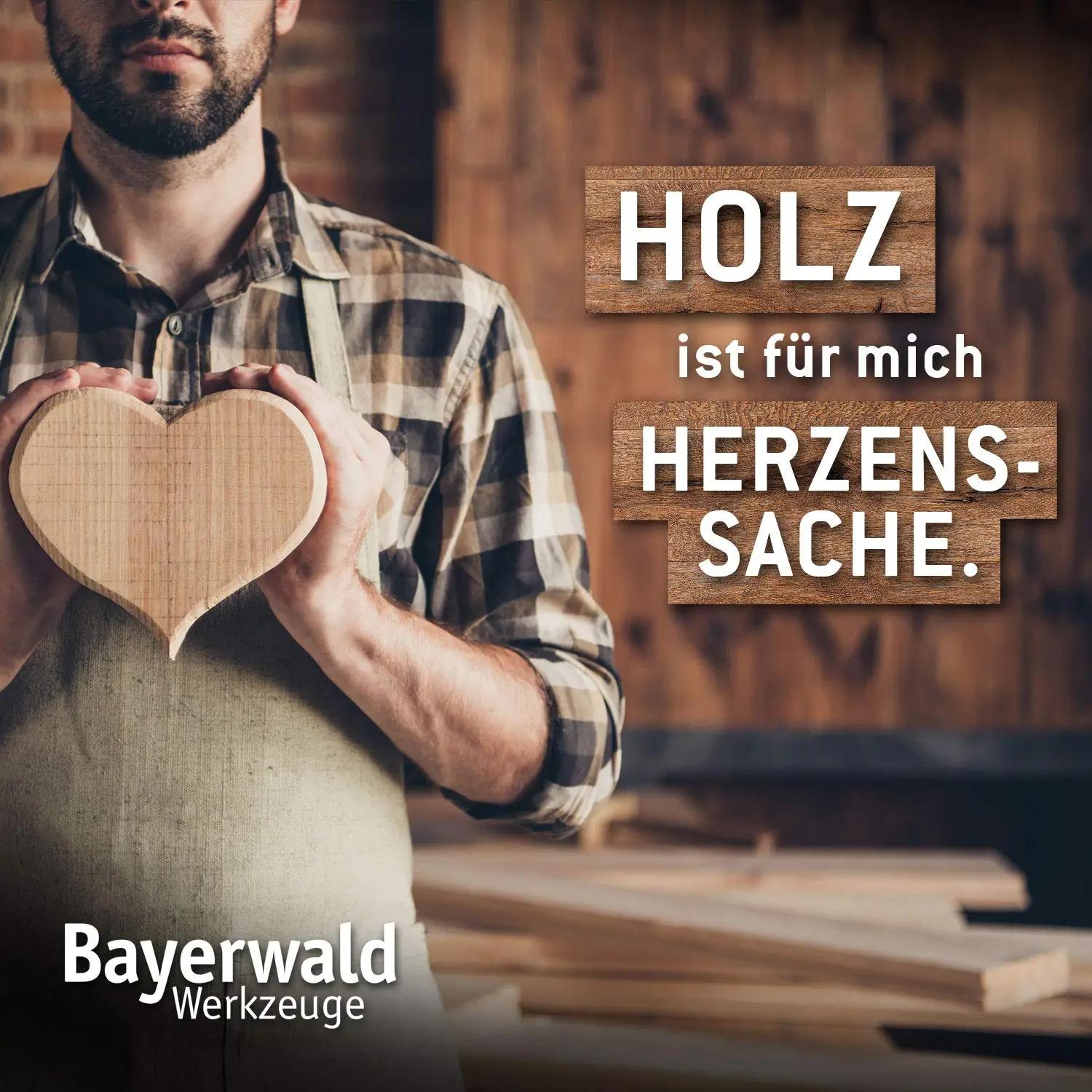 Bayerwald Werkzeuge puidutöötlemise frässketas – pilt 8