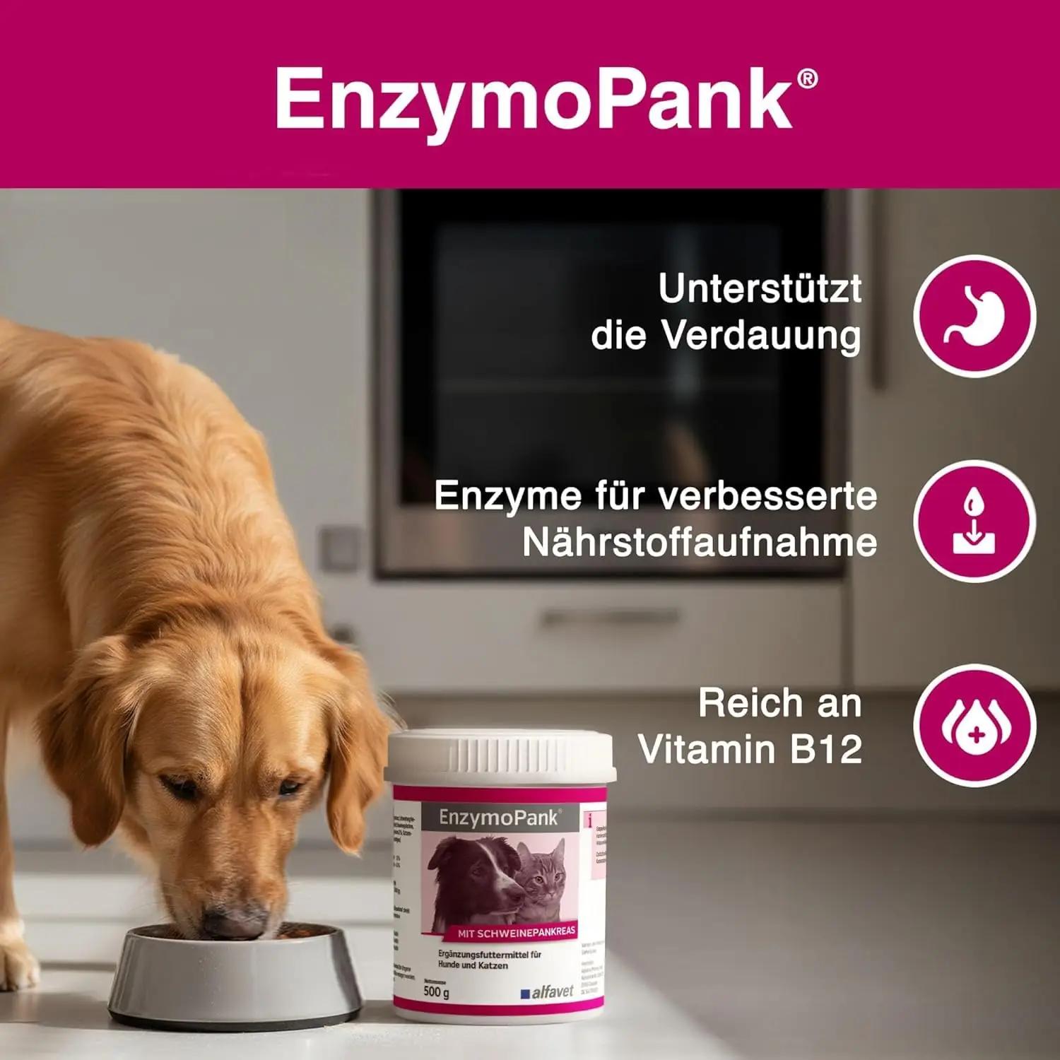 Alfavet EnzymoPank 500 g — looduslik seedimist toetav pulber – detailne vaade