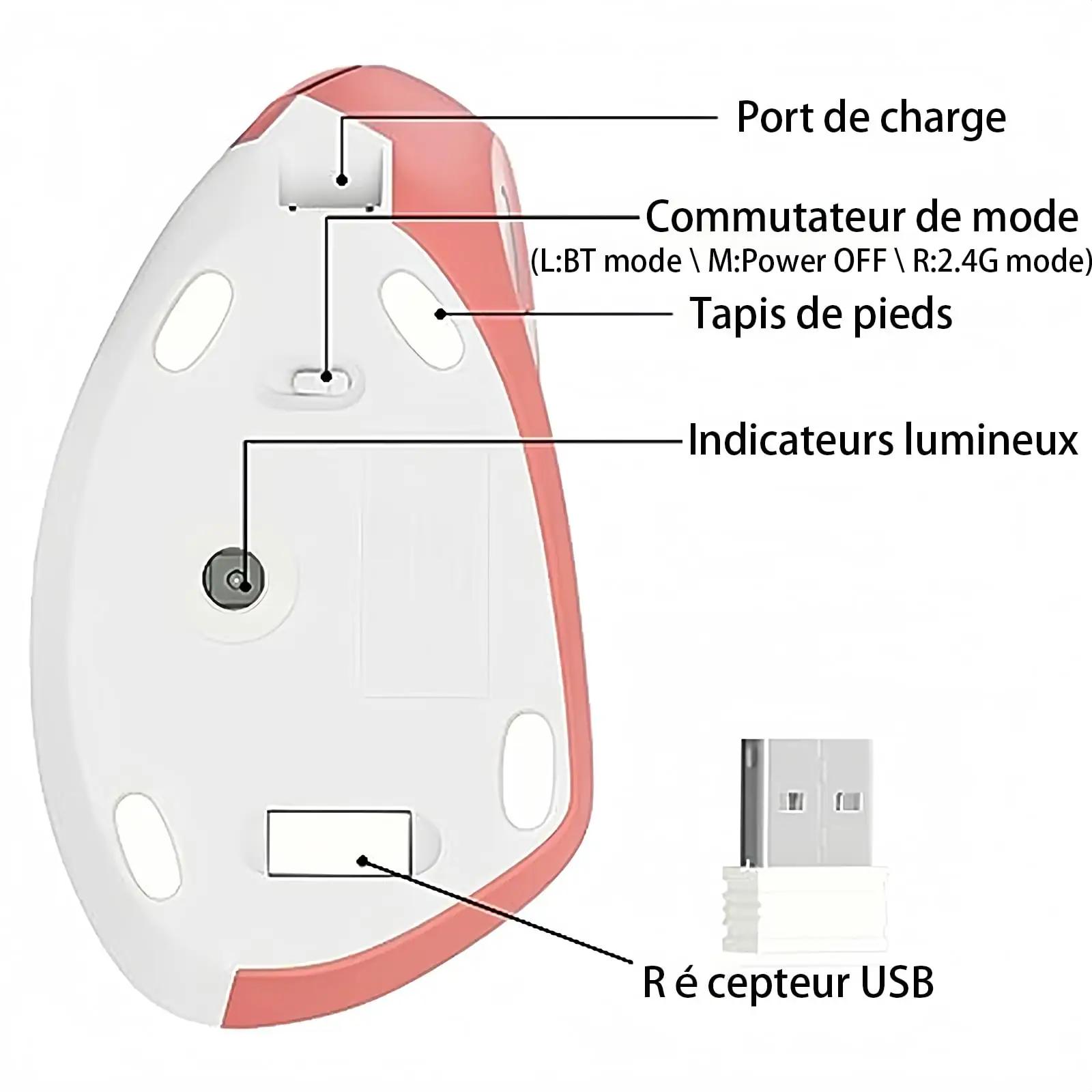 WREWING ergonoomiline vertikaalne hiir — kontorikasutus ja – pilt 6