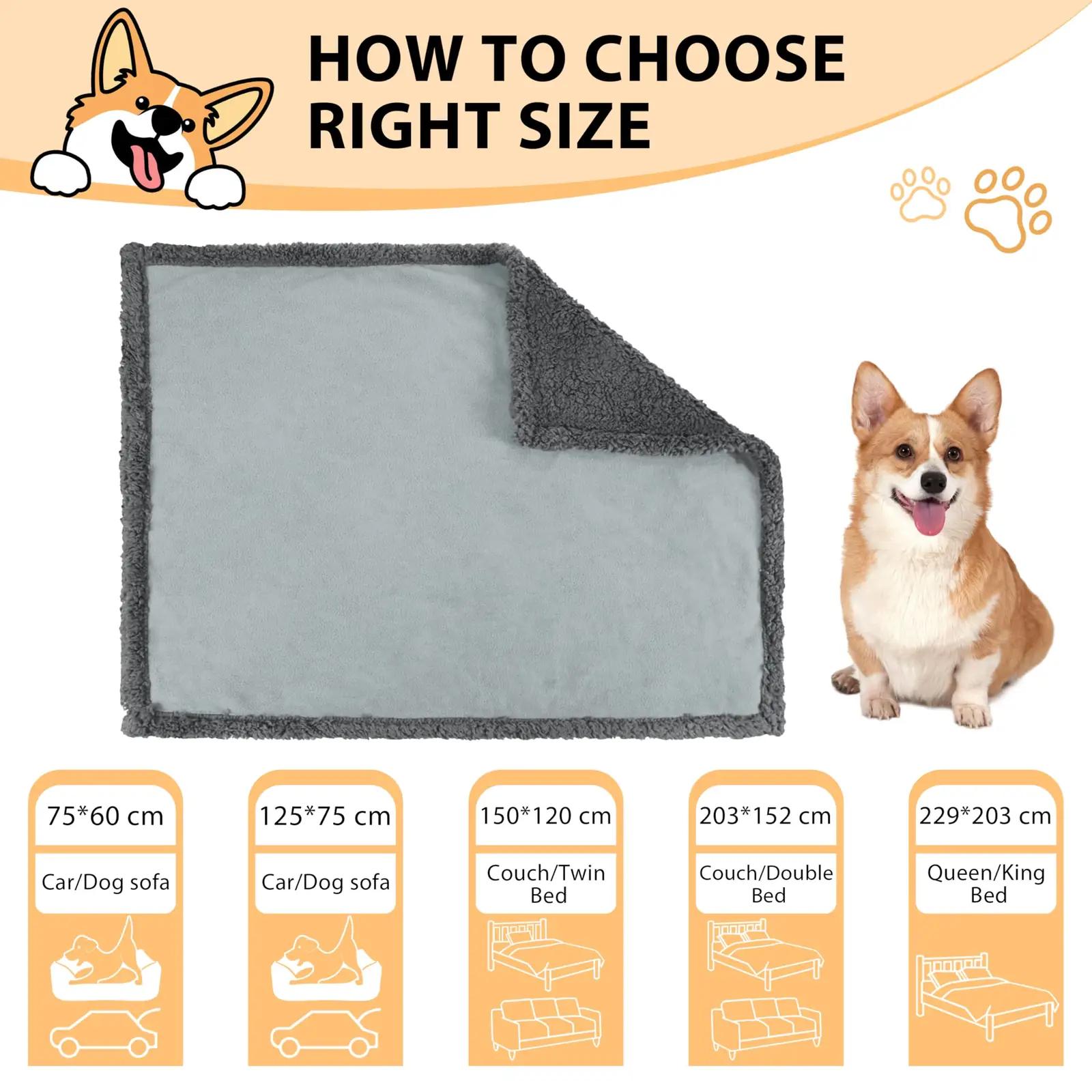 Pawsee veekindel ja pehme koeratekk – XL 203×229 cm – pilt 7