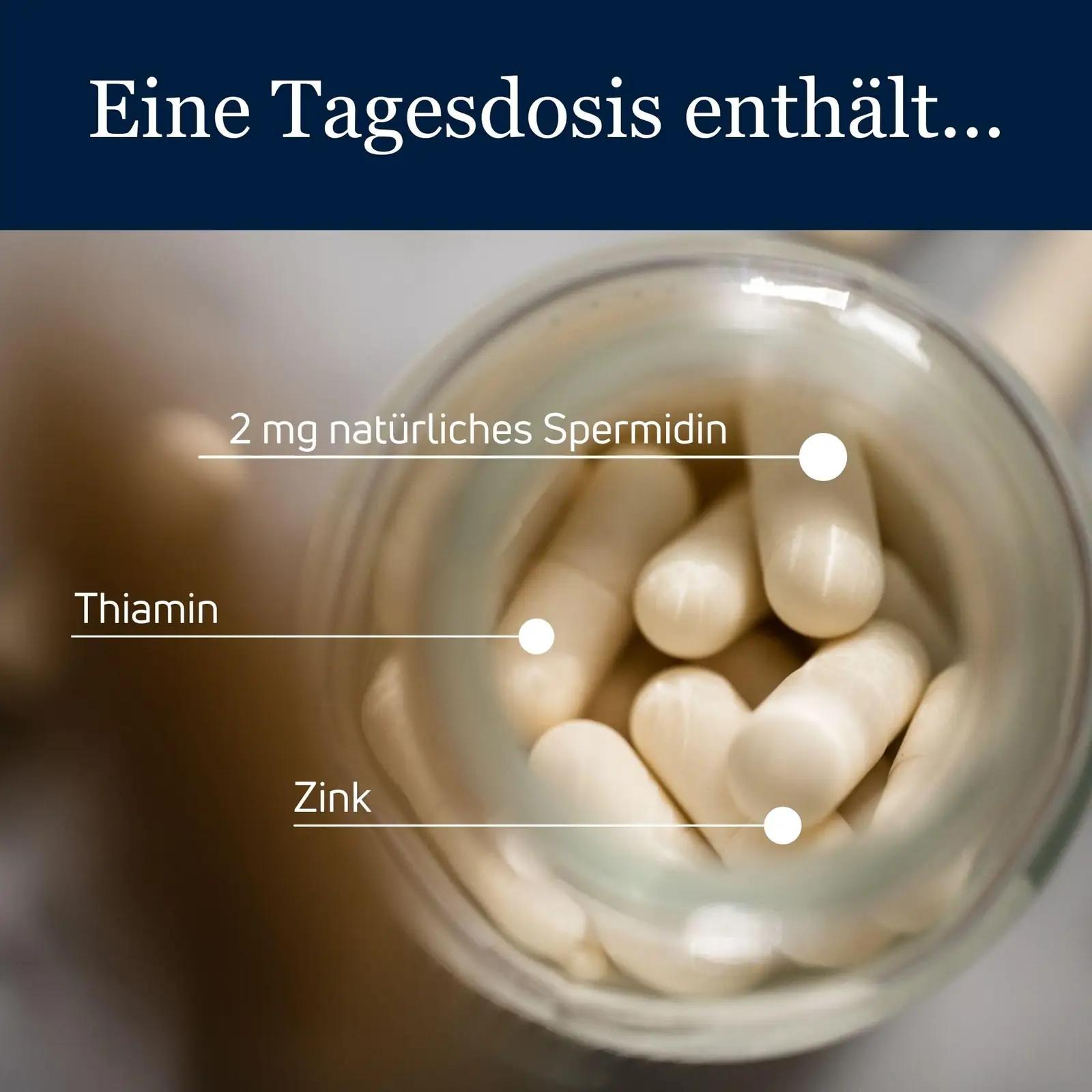 Spermidinelife vegankapslid – toetab raku uuenemist ja südant – pilt 6