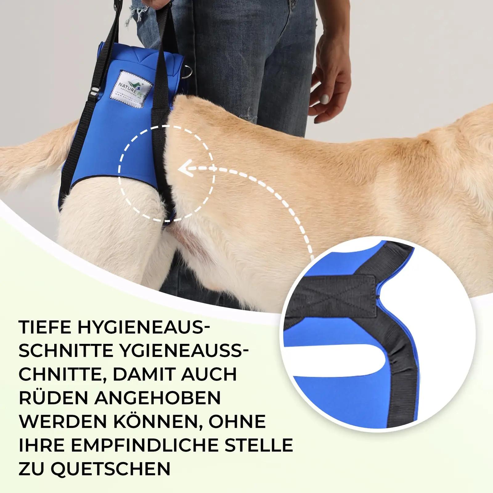 Nature Pet toestav koerarihm – reguleeritav trepiabi (S) – kasutusnäide