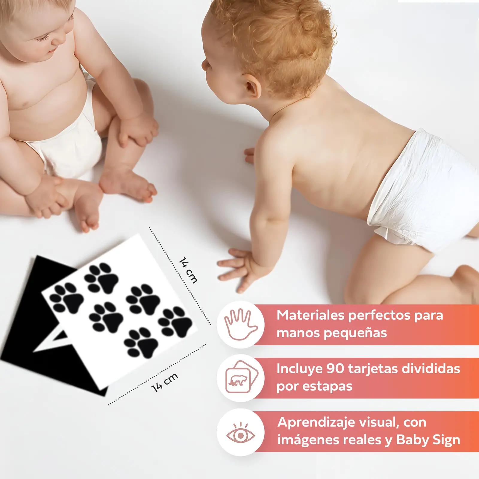 The Baby Sign Academy stimulatsioonikaardid 0–36 kuu arenguks – lisavaade