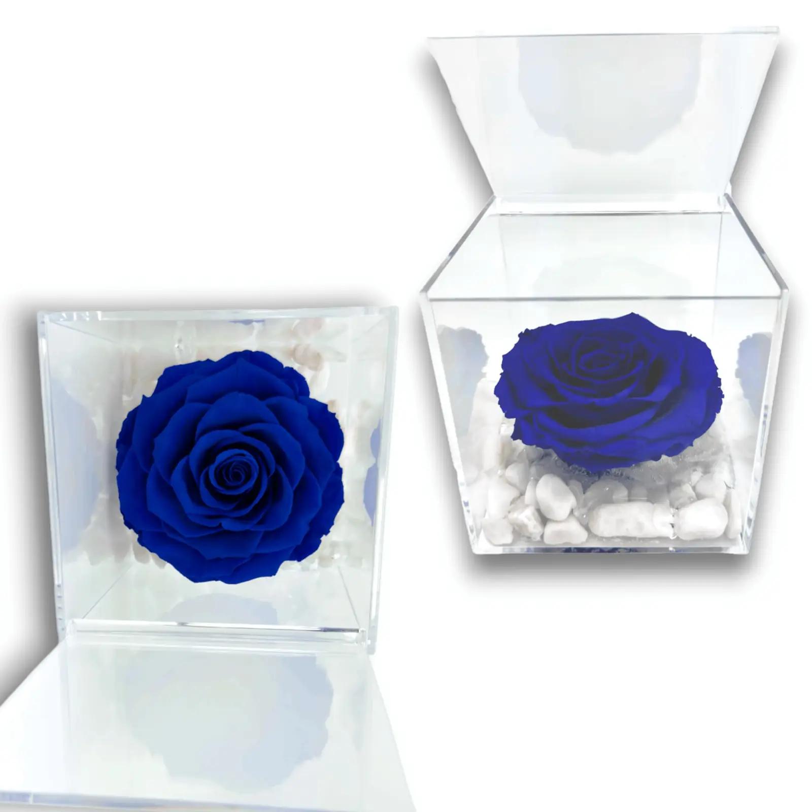 Premium-rose.com sinine konservitud roos – lõhnakink 12 cm – lisavaade
