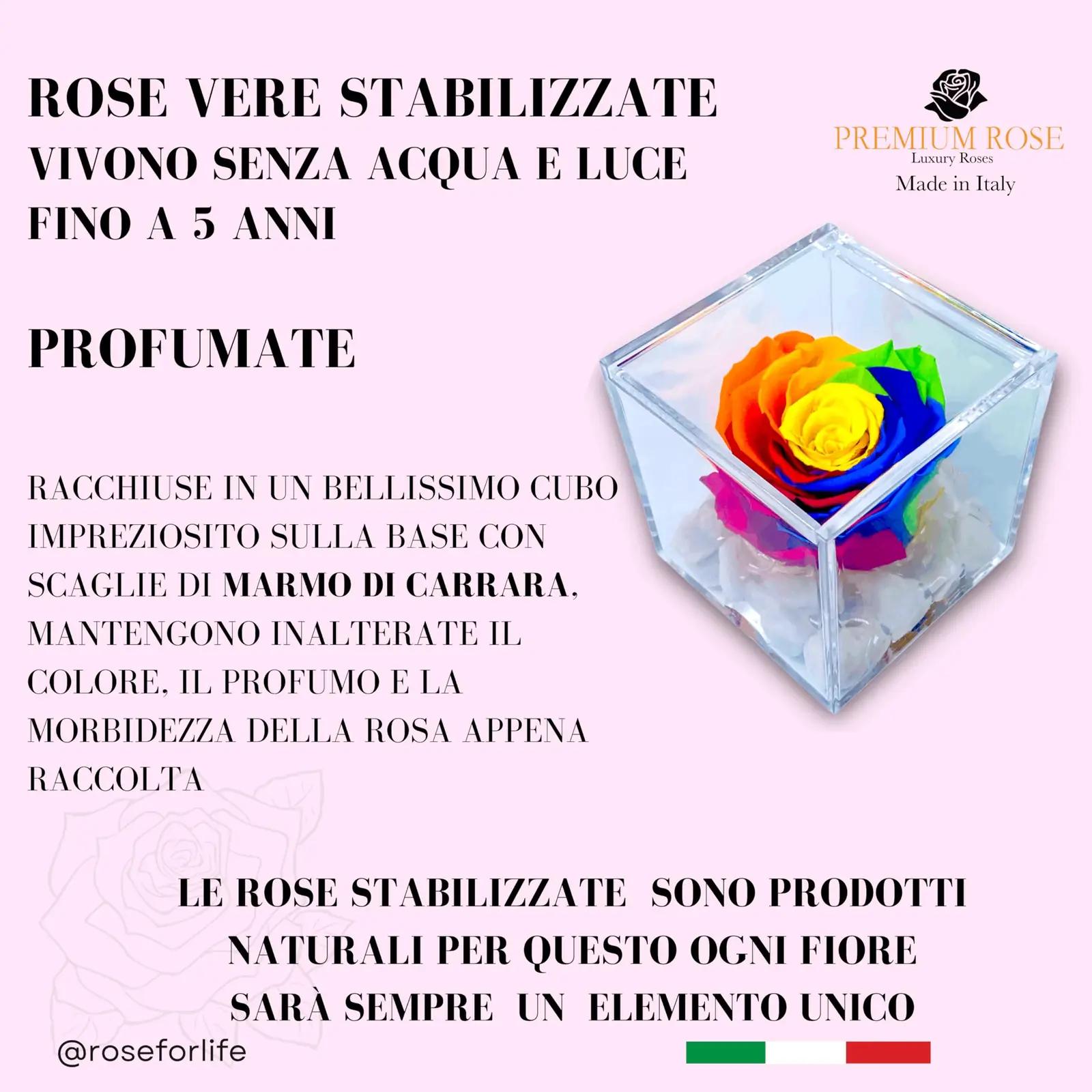 Premium-rose.com sinine konservitud roos – lõhnakink 12 cm – pilt 9